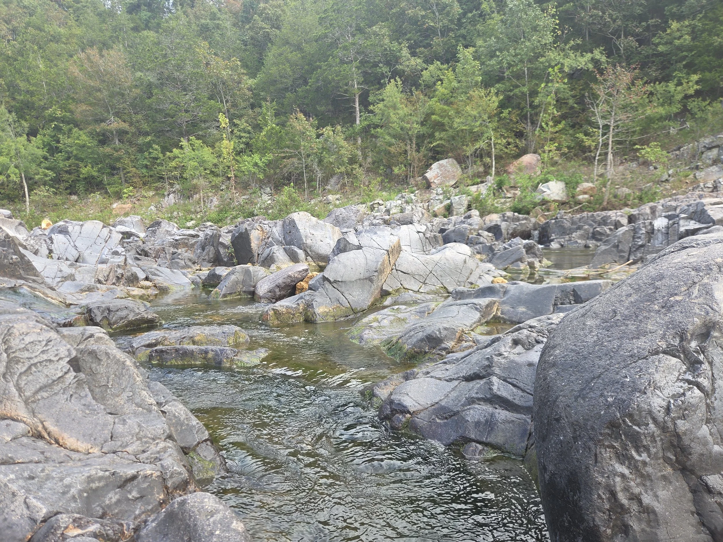 Water flowing between rocks with trees in the background.