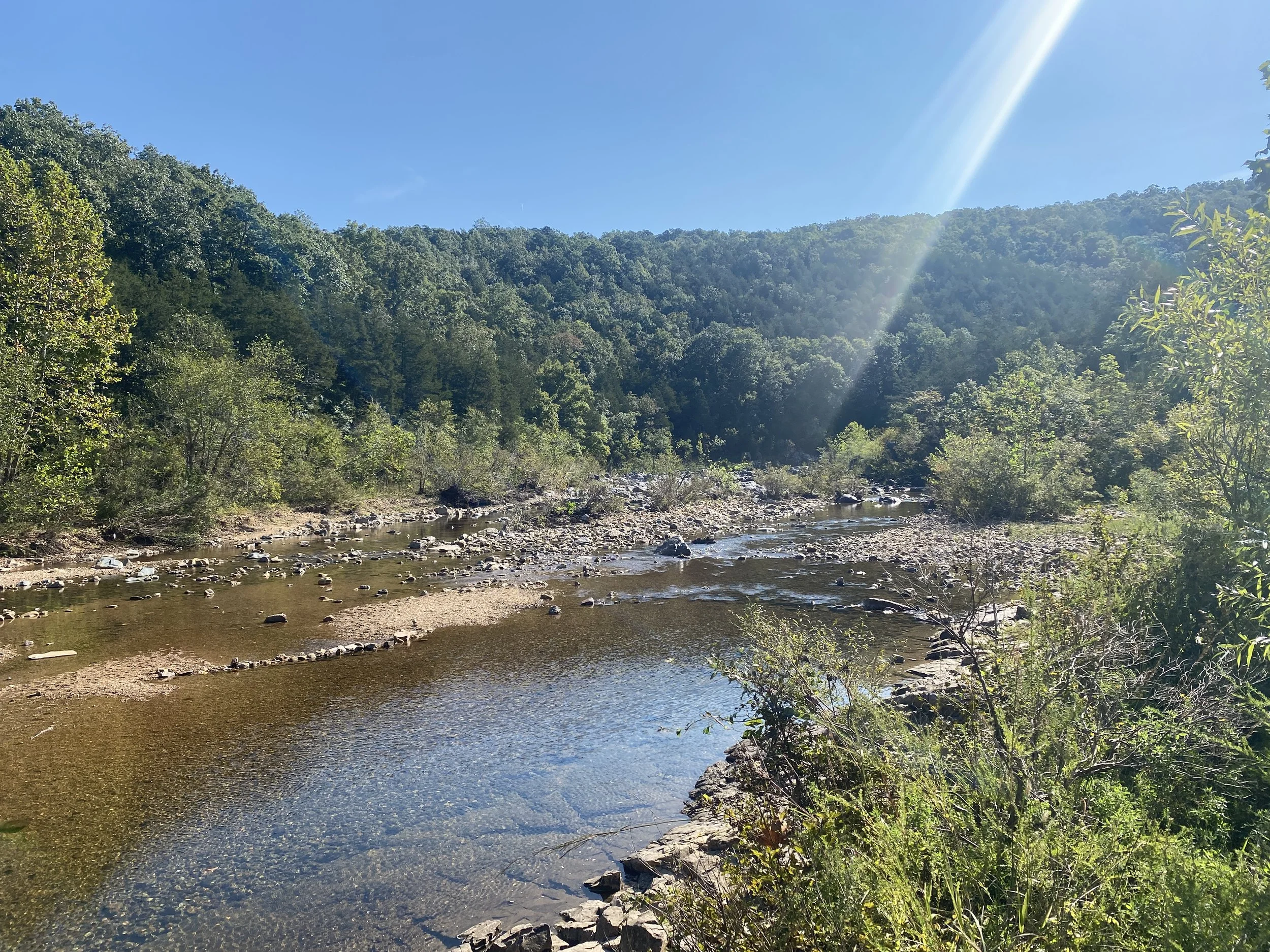 A shallow water with rocks in it, surrounded by forest.