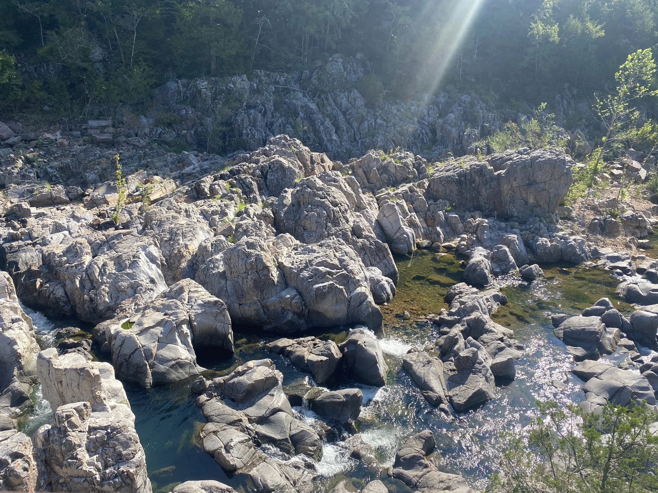 Rocks with water flowing and pooling in some areas, with forest behind it.