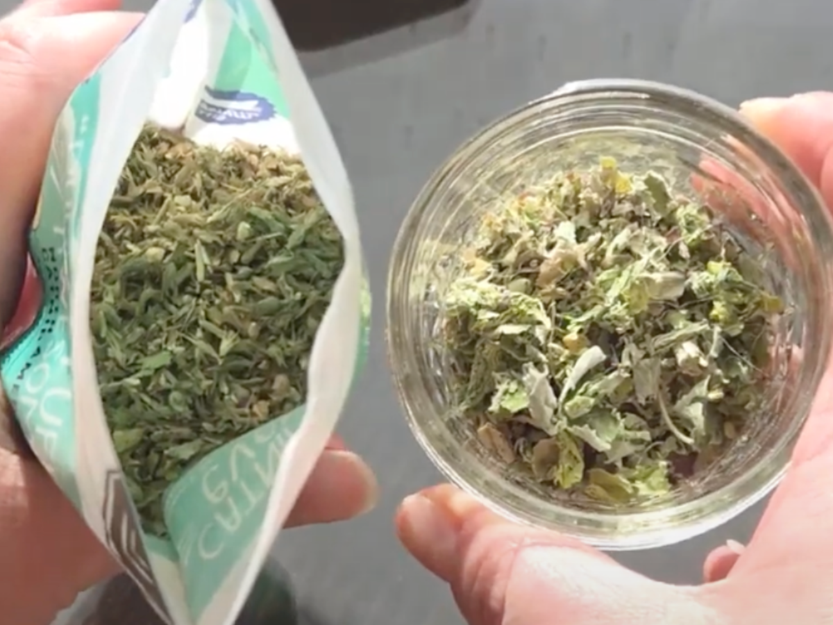 Store bought catnip next to homegrown.