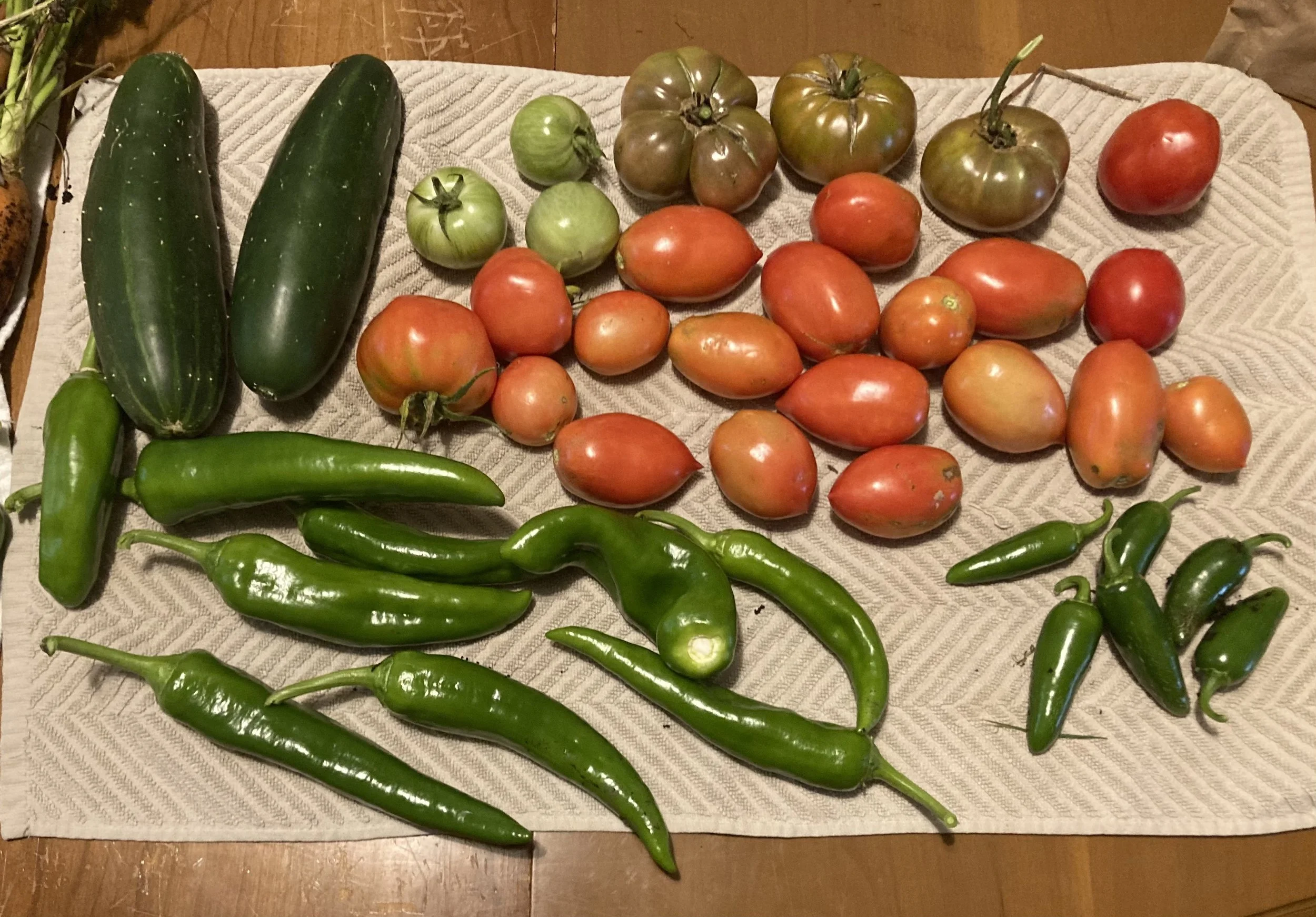 Tomatoes, cucumbers, peppers, and carrots.