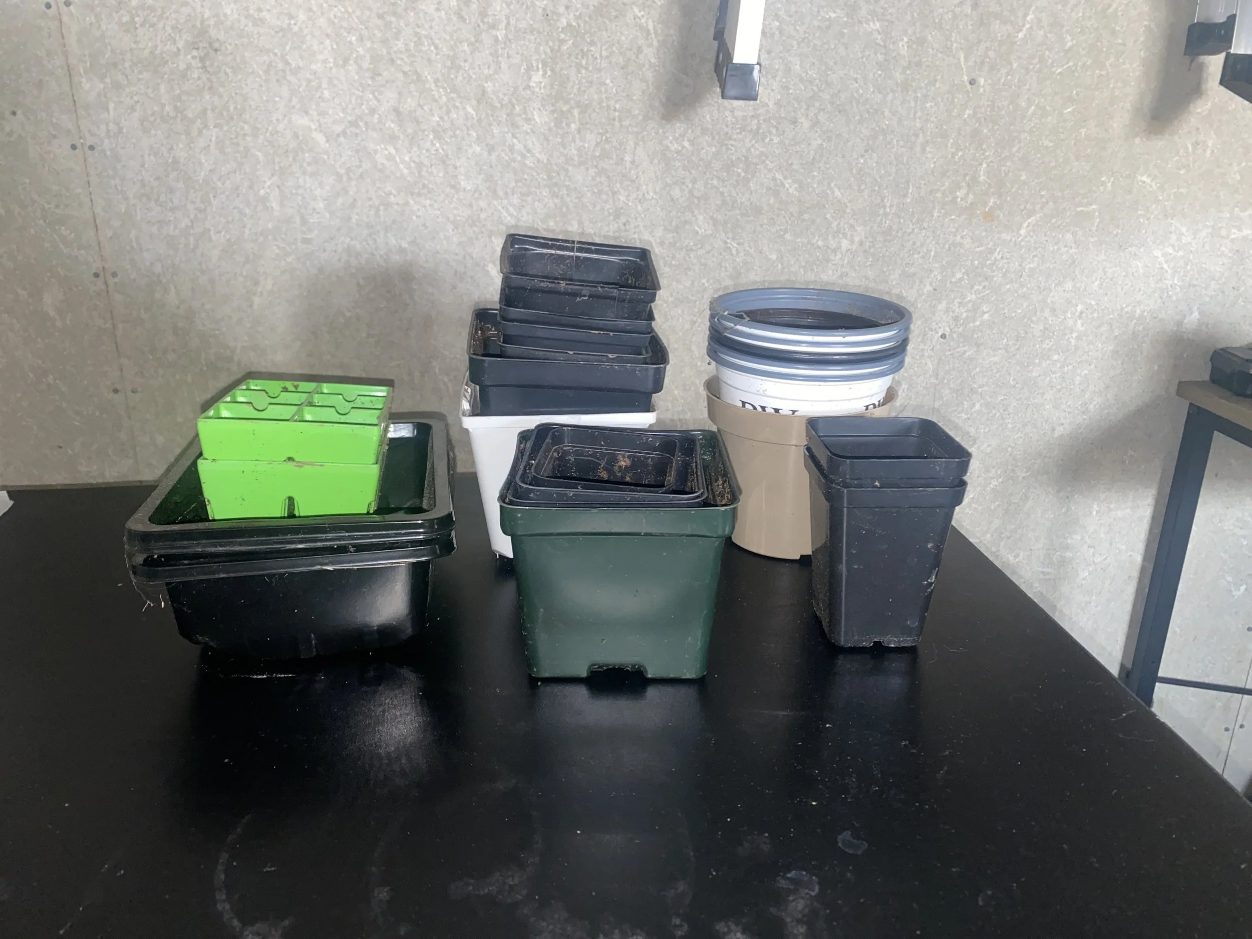 Gardening Tasks To Do In The Winter