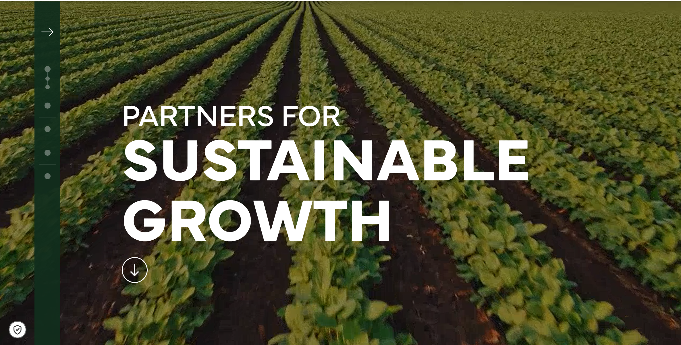 2026 Sustainability Report