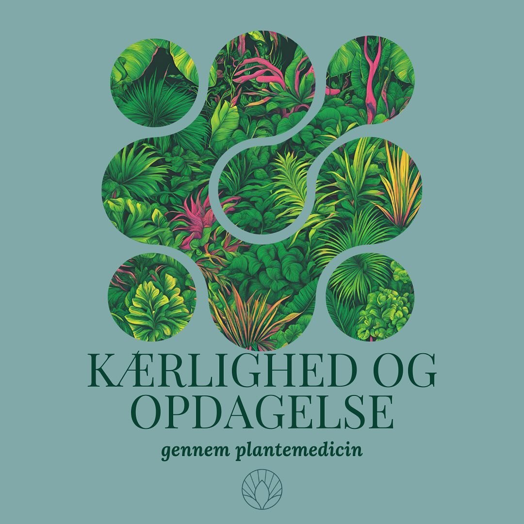 🌈✨ **K&aelig;rlighed og Opdagelse gennem plantemedicin** ✨🌈

I en verden, hvor vi ofte er fanget i vores hverdag og rutiner, kan plantemedicin &aring;bne d&oslash;ren til dybere forst&aring;else og forbindelse &ndash; b&aring;de med os selv og hina