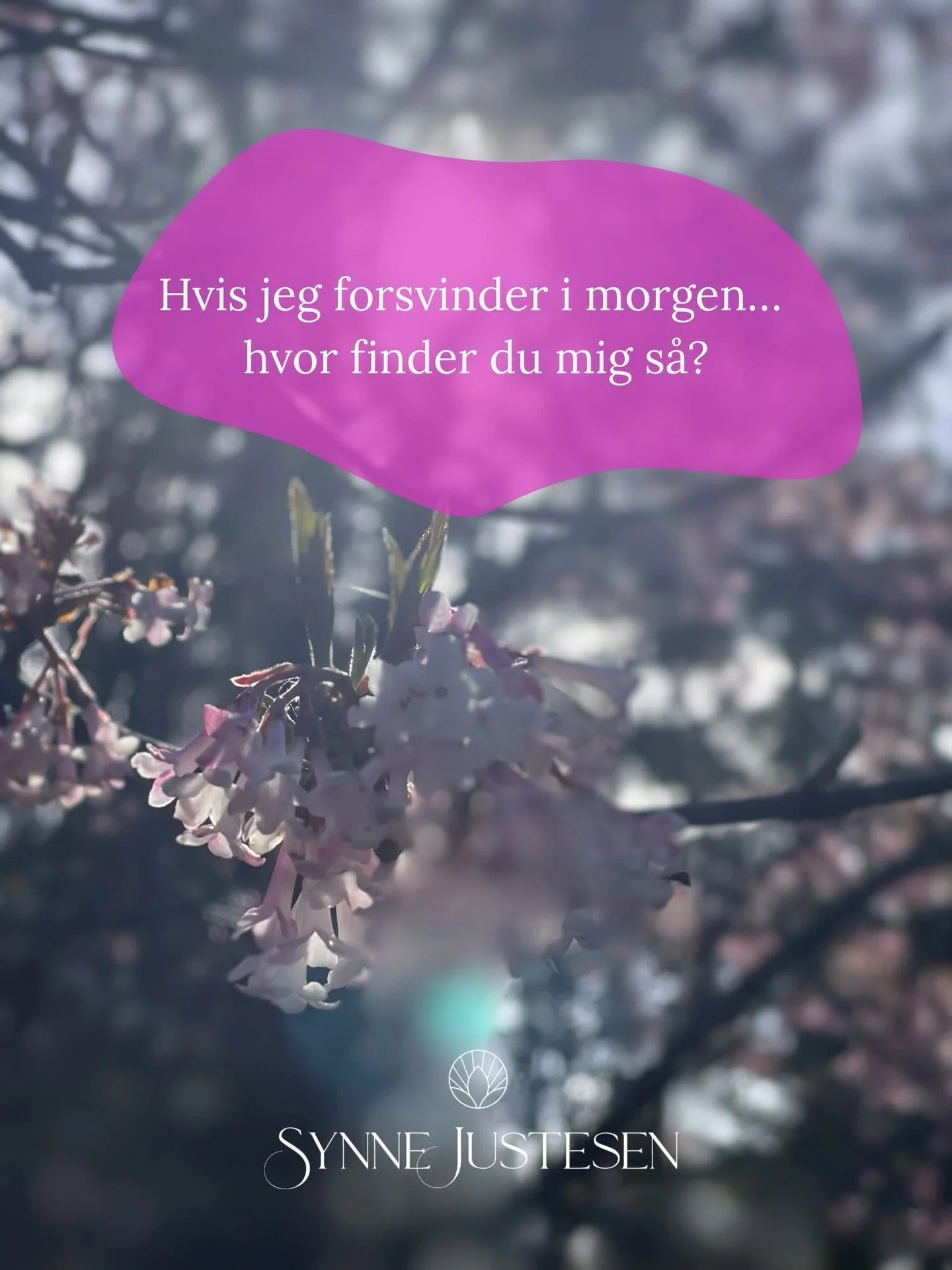 Hey du&hellip; 👋🏻

Jeg pr&oslash;ver faktisk at f&aring; din opm&aelig;rksomhed lige nu.
Fordi jeg er nerv&oslash;s for, at vi pludselig mister hinanden.

Jeg har mange &oslash;jne p&aring; det, jeg laver p&aring; SoMe, men jeg ejer det ikke.
Det e