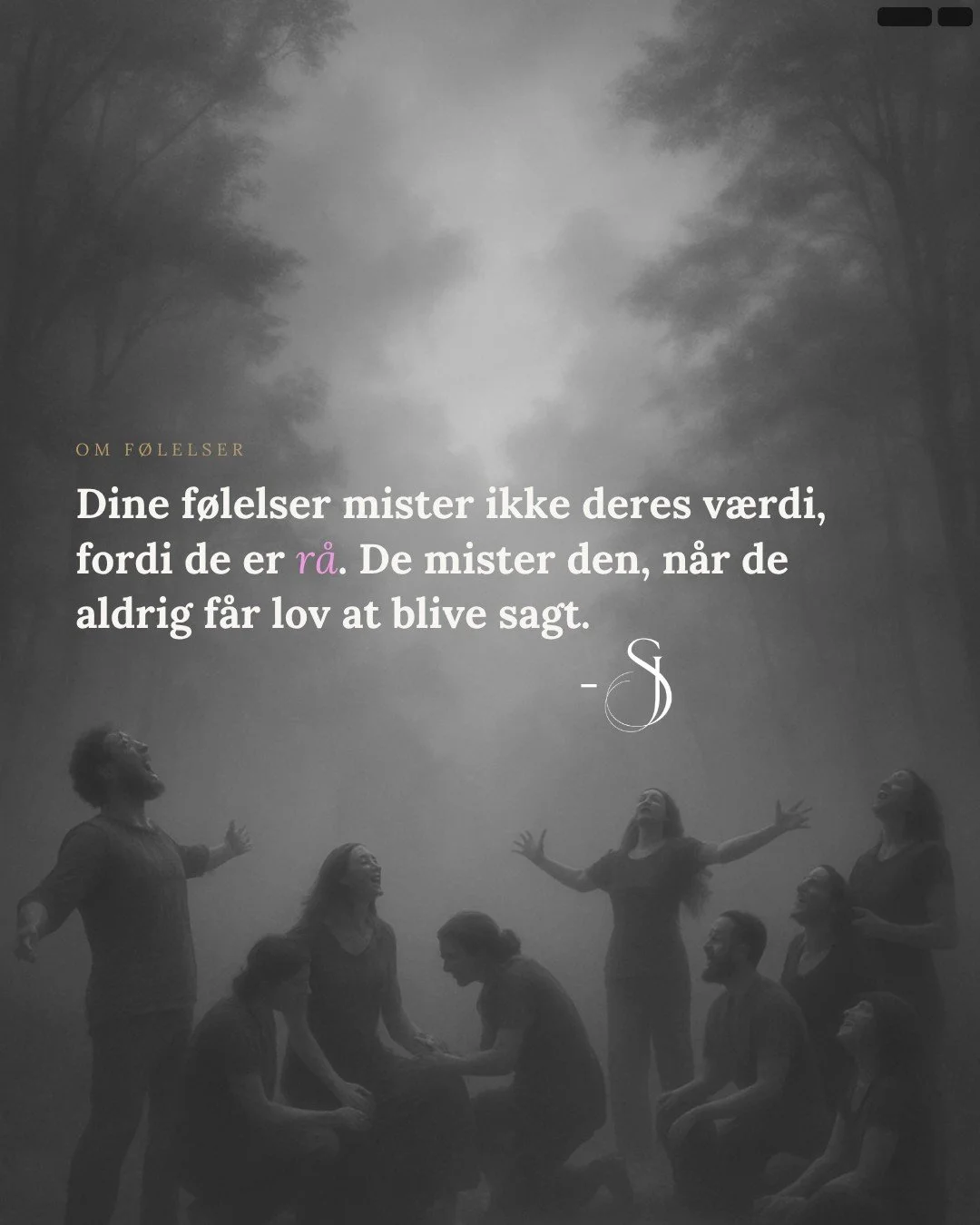 N&aring;r du forklarer dine f&oslash;lelser for p&aelig;nt, er det ofte fordi du ikke f&oslash;ler dig tryg nok til at sige dem r&aring;t.

Du har l&aelig;rt at g&oslash;re dine f&oslash;lelser forst&aring;elige. Sammenh&aelig;ngende. Spiselige.
At p