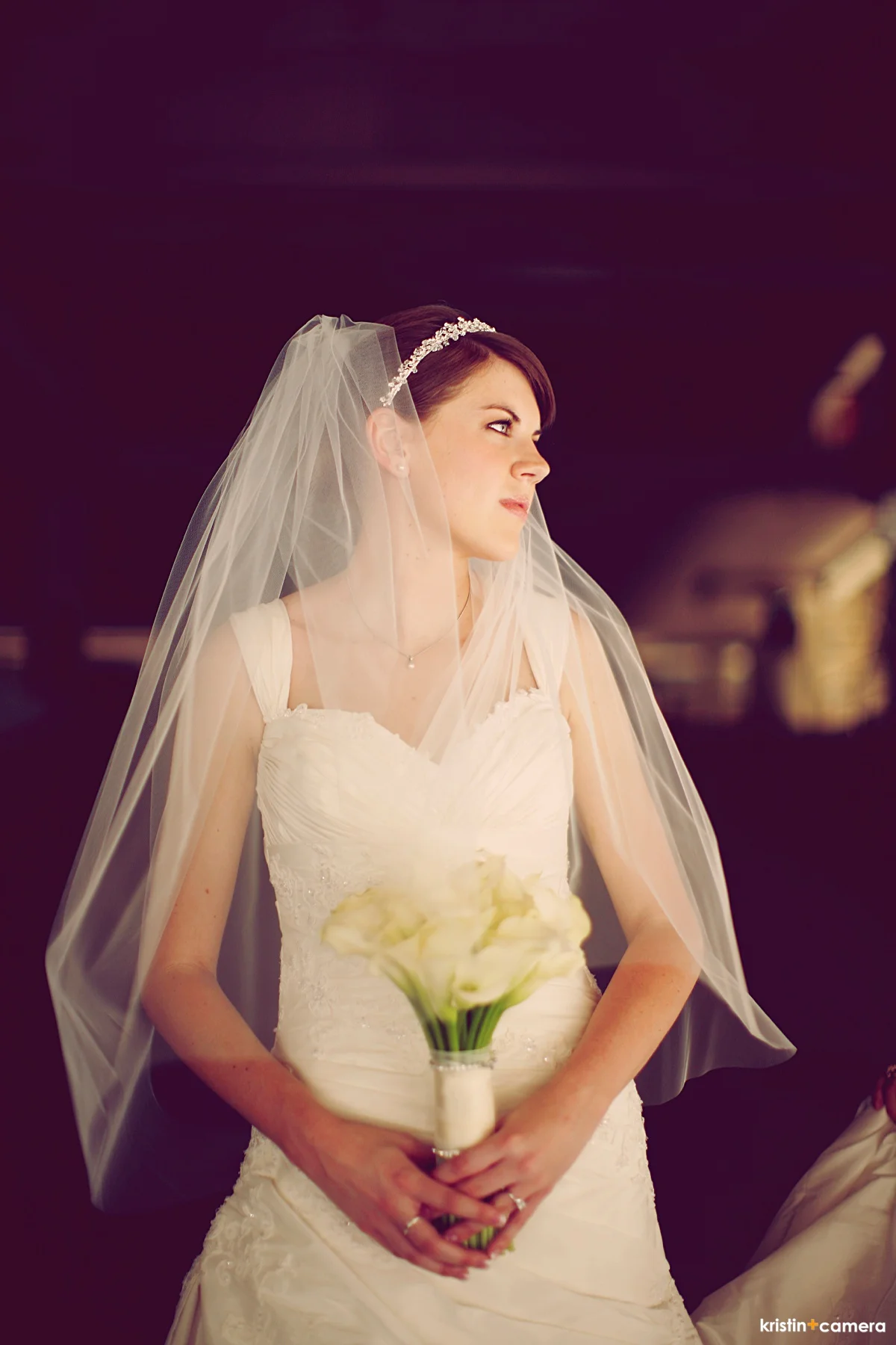 Lubbock-bridal-portraits-mcpherson-cellars-0046.JPG