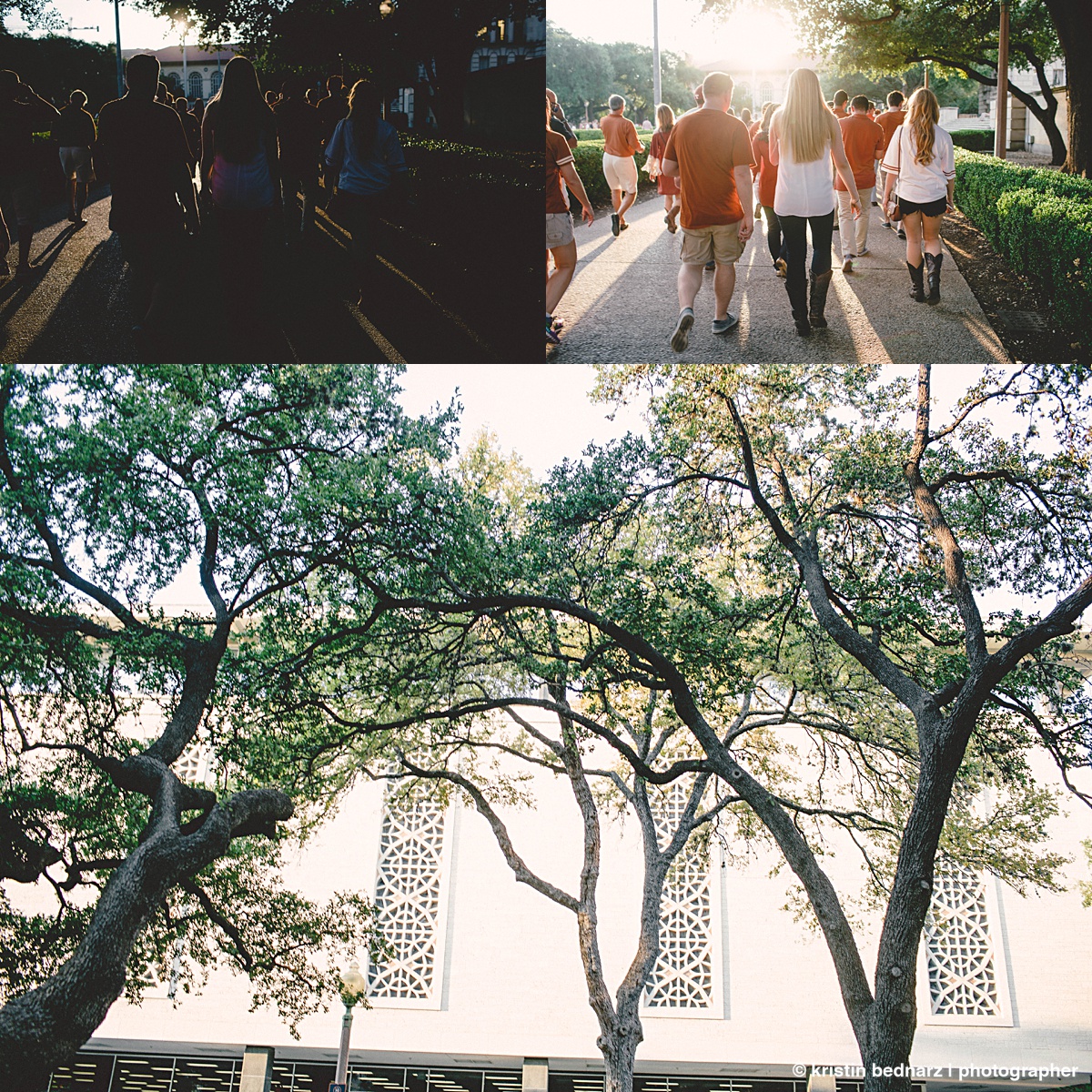 20150926_00079.jpg