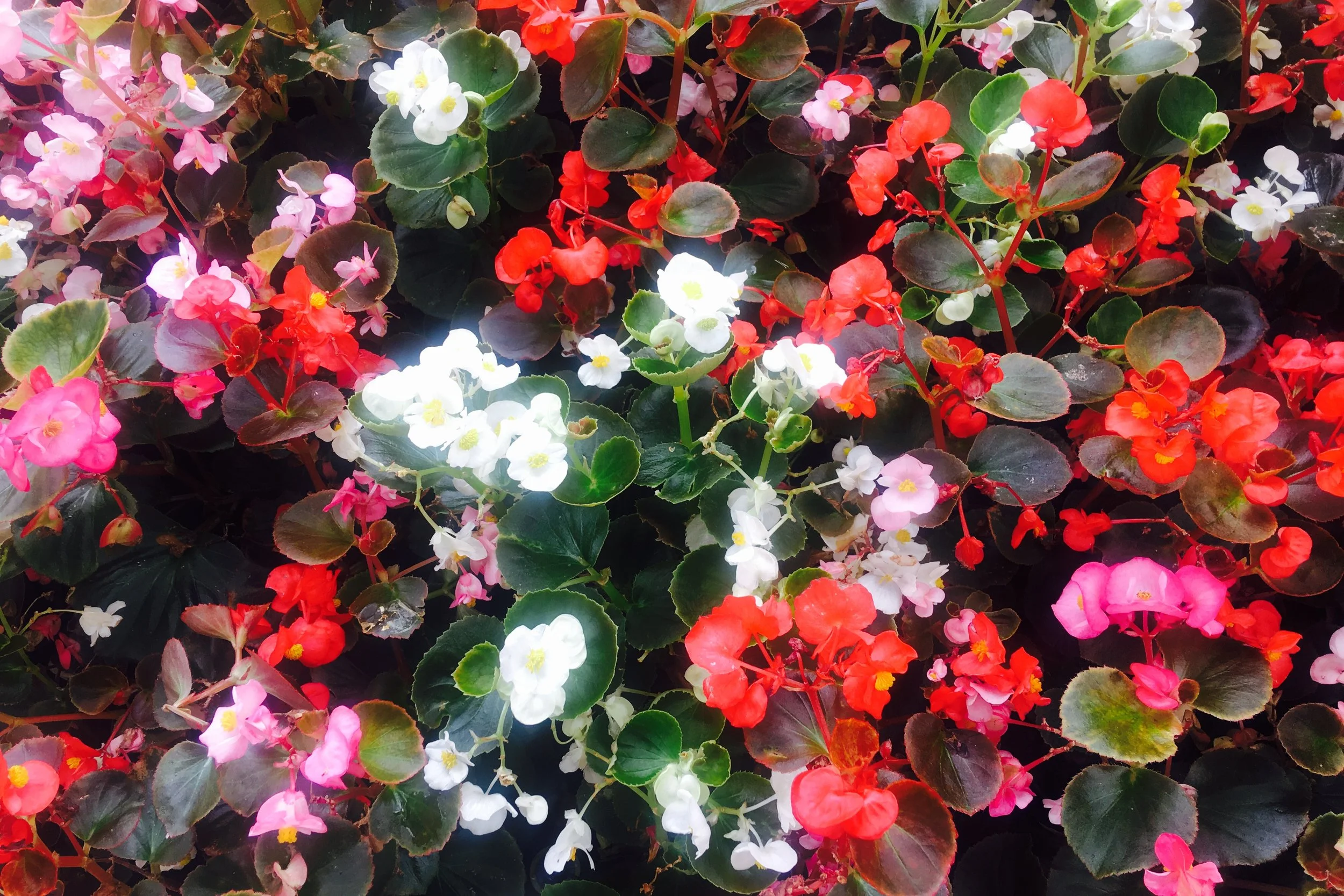  I couldn't just sit. &nbsp;I walked around the parking lot a time or two. &nbsp;Anything to keep busy when your kid's in surgery, right? 