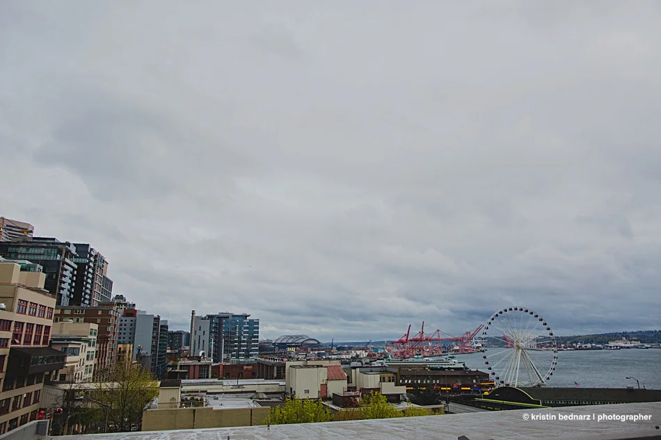 20170411_0028.jpg