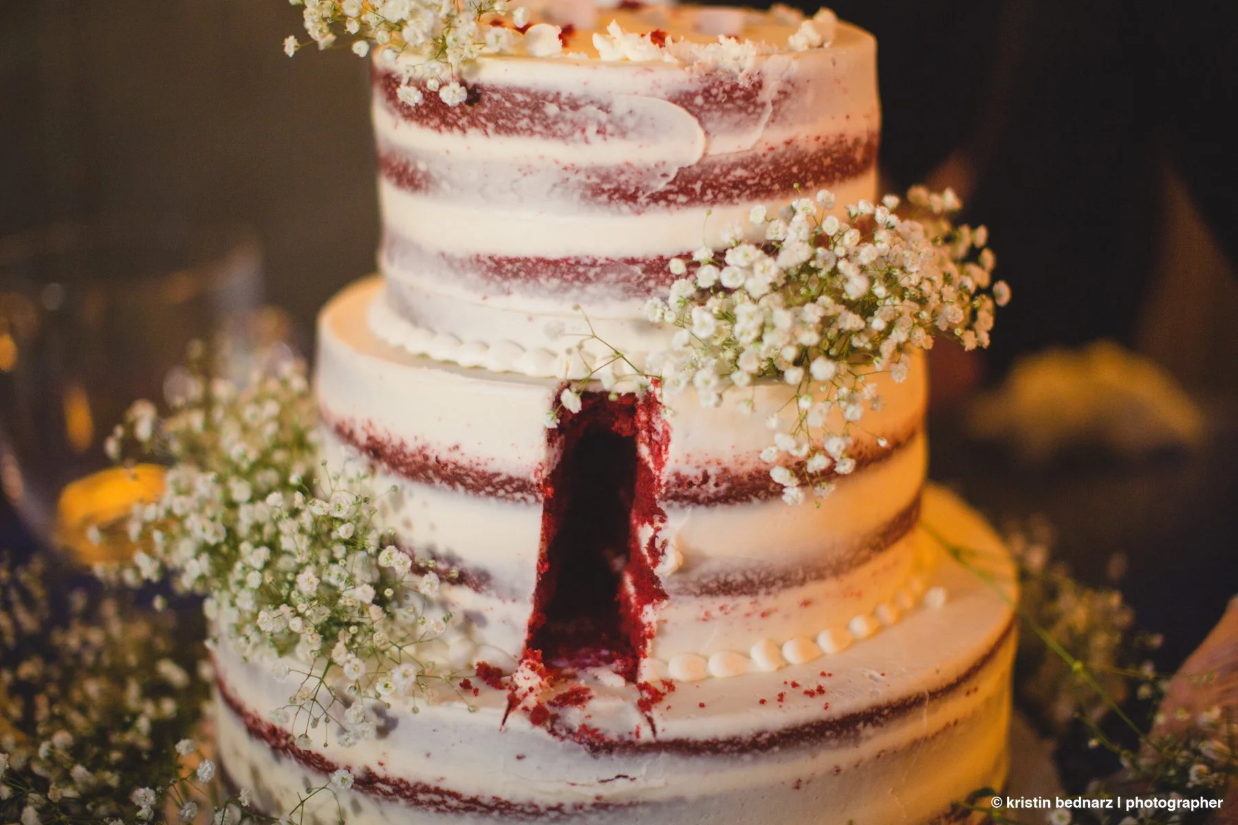  gotta get a picture of the cake!  In this business, we photogs call this the “cake hole” shot.  LOVE IT! 