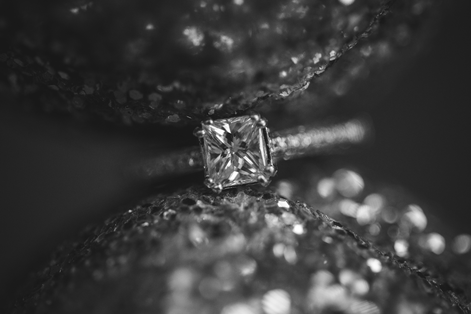 kristin_bednarz_sneak_20190301_00003.JPG