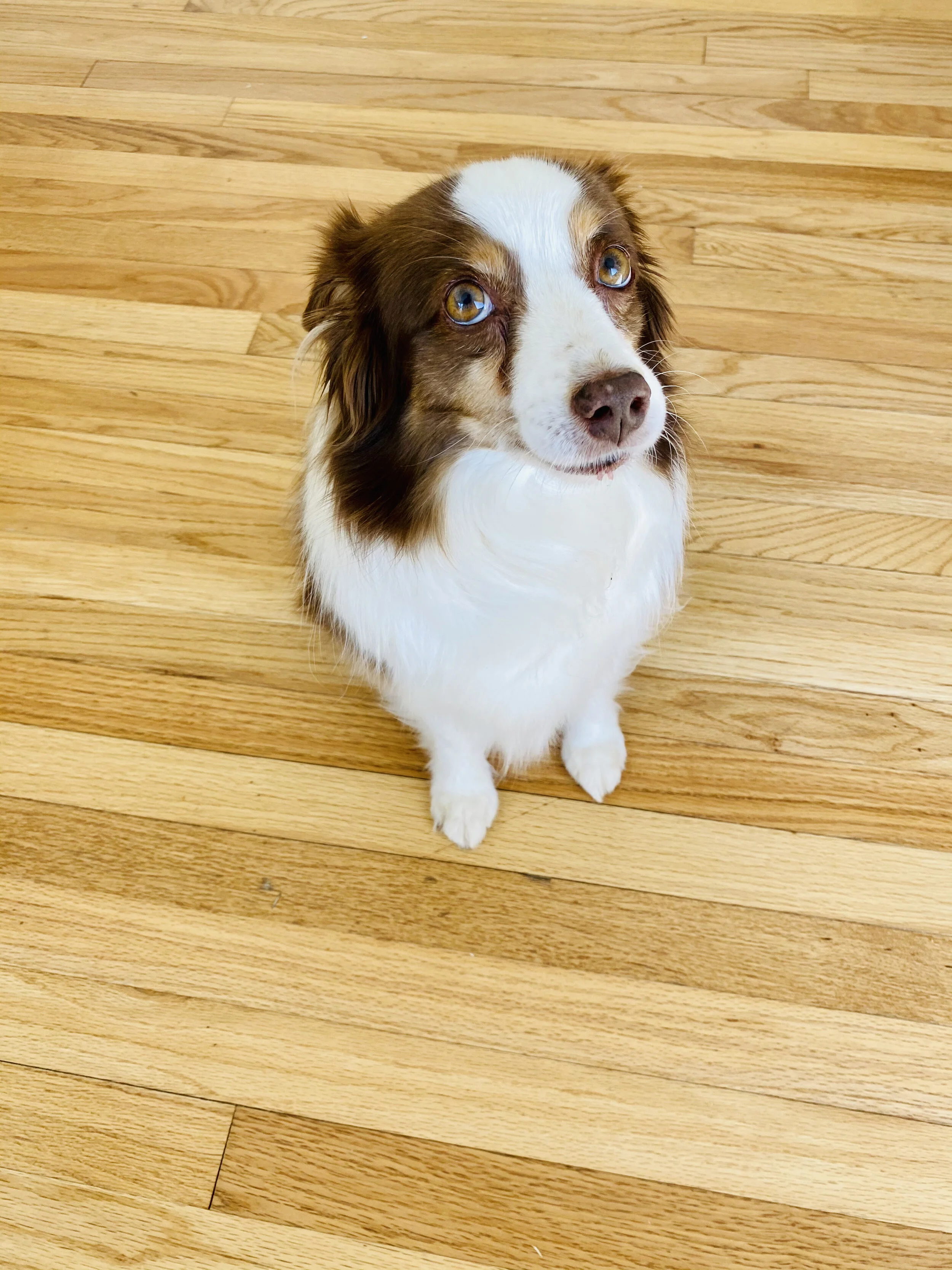 I used to share photos here on my blog all the time.  You know, photos like this one of sweet Kanga Baby.