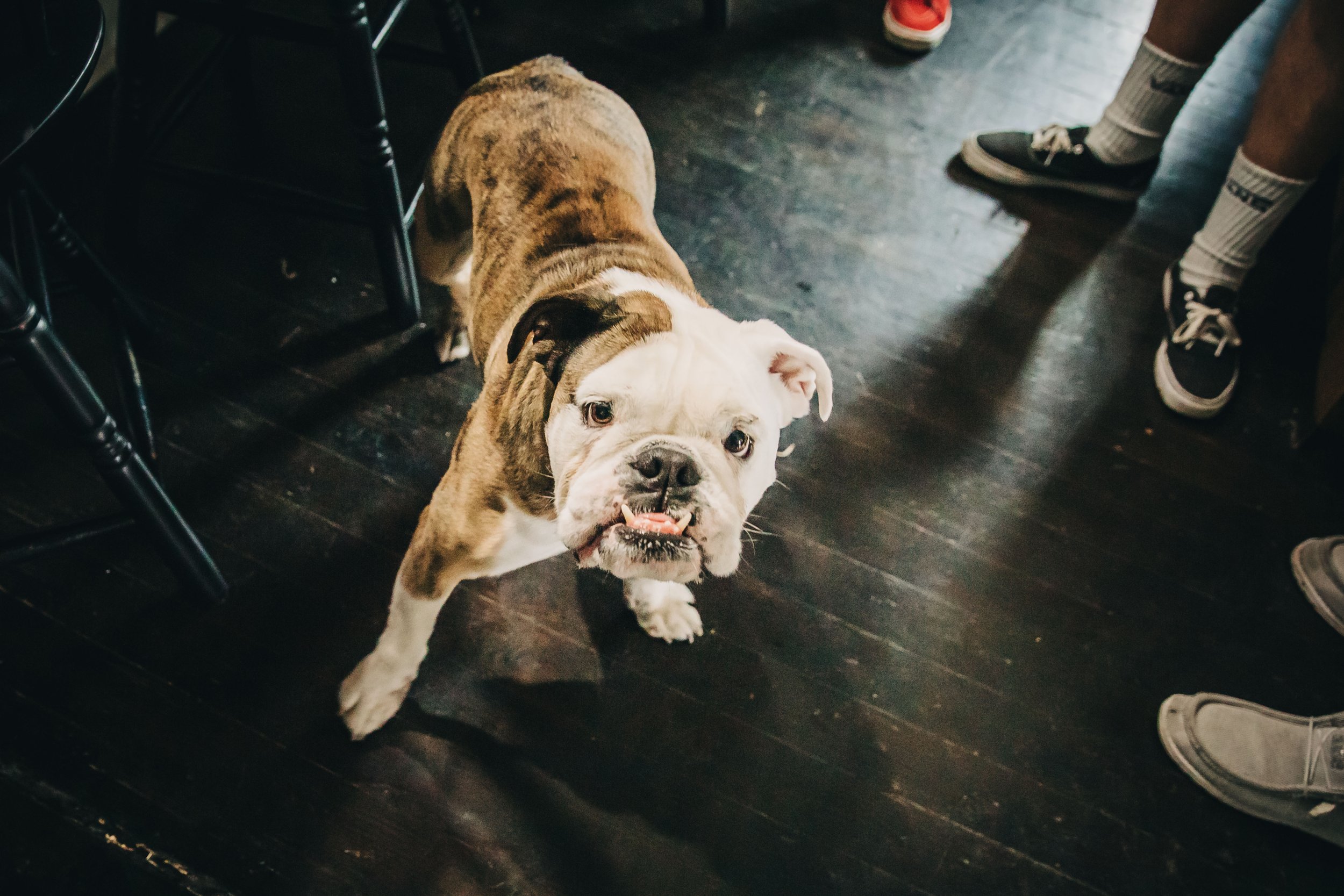  One of the honorary groomsmen.   