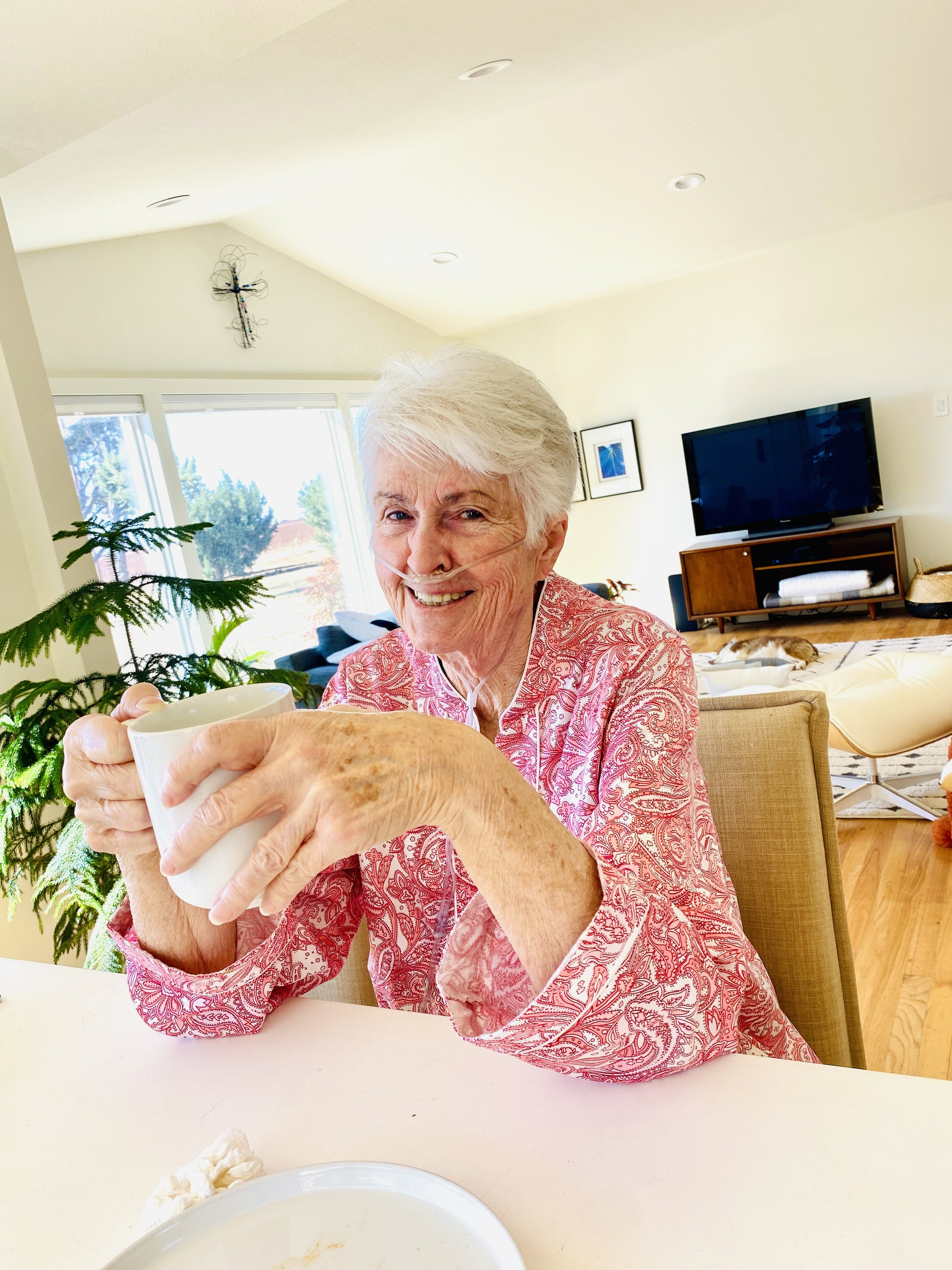  When she left her doctor in California, he instructed me to get her to a certain weight. Because her health and stamina was declining, she didn't have the effort to cook.  So, dang!  I cooked!  Devin was so happy!  3 meals a day and snacks in betwee