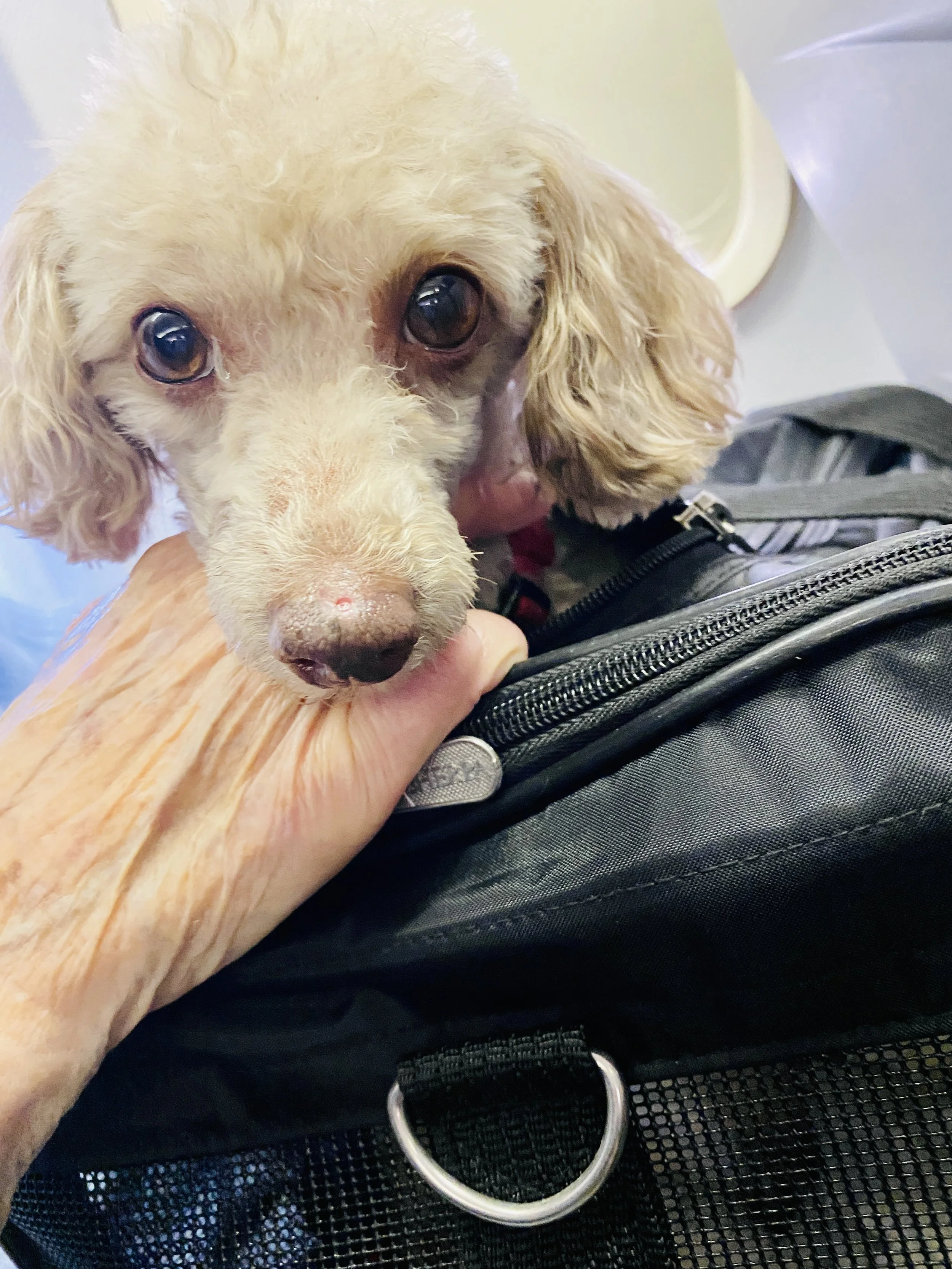  He would calm down a bit. 