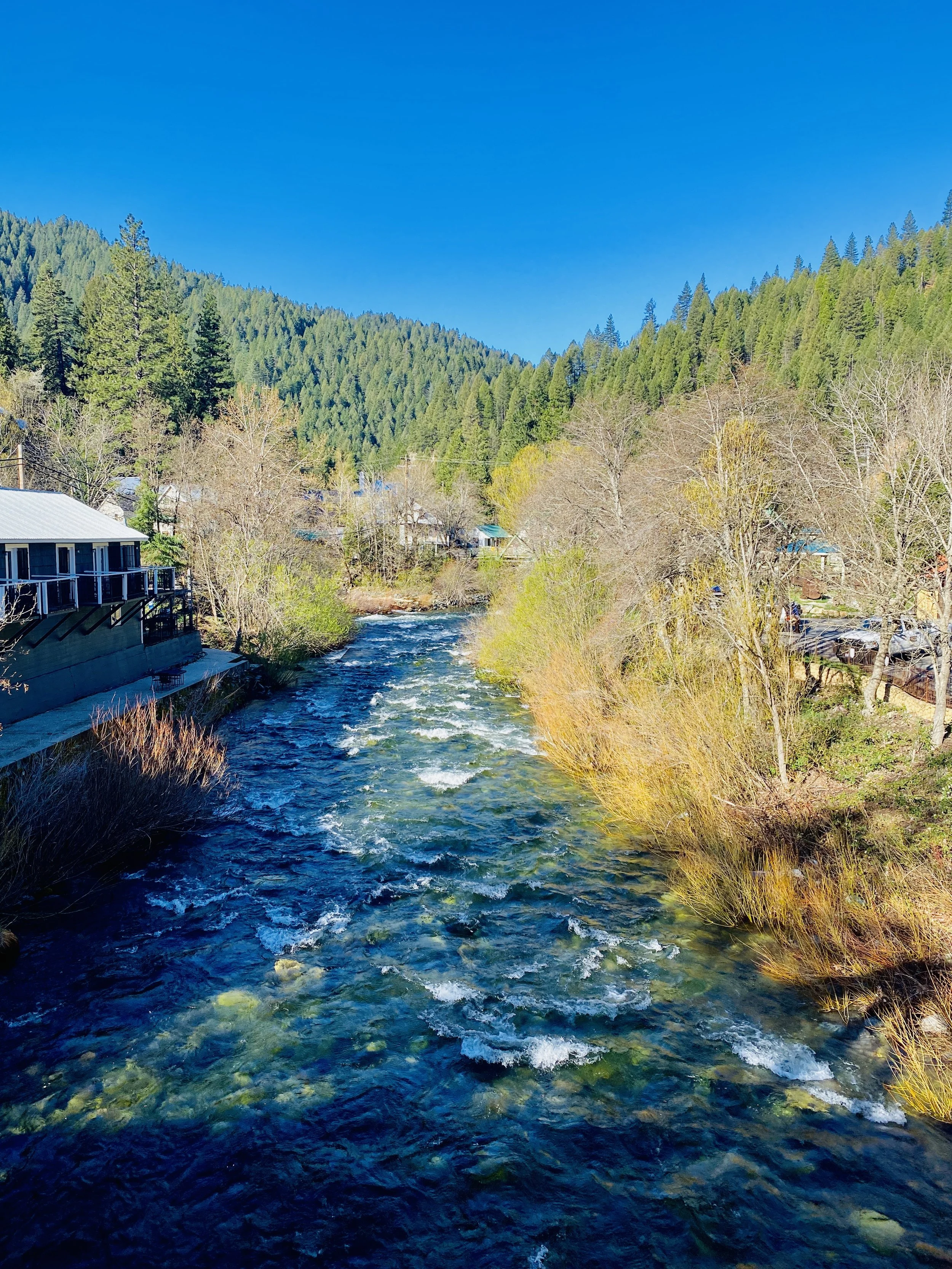  With Kim there, I could vent and we could bounce ideas off each other and we enjoyed walks all over town to help "figure out our lives".  Downieville really is a cute little town. 