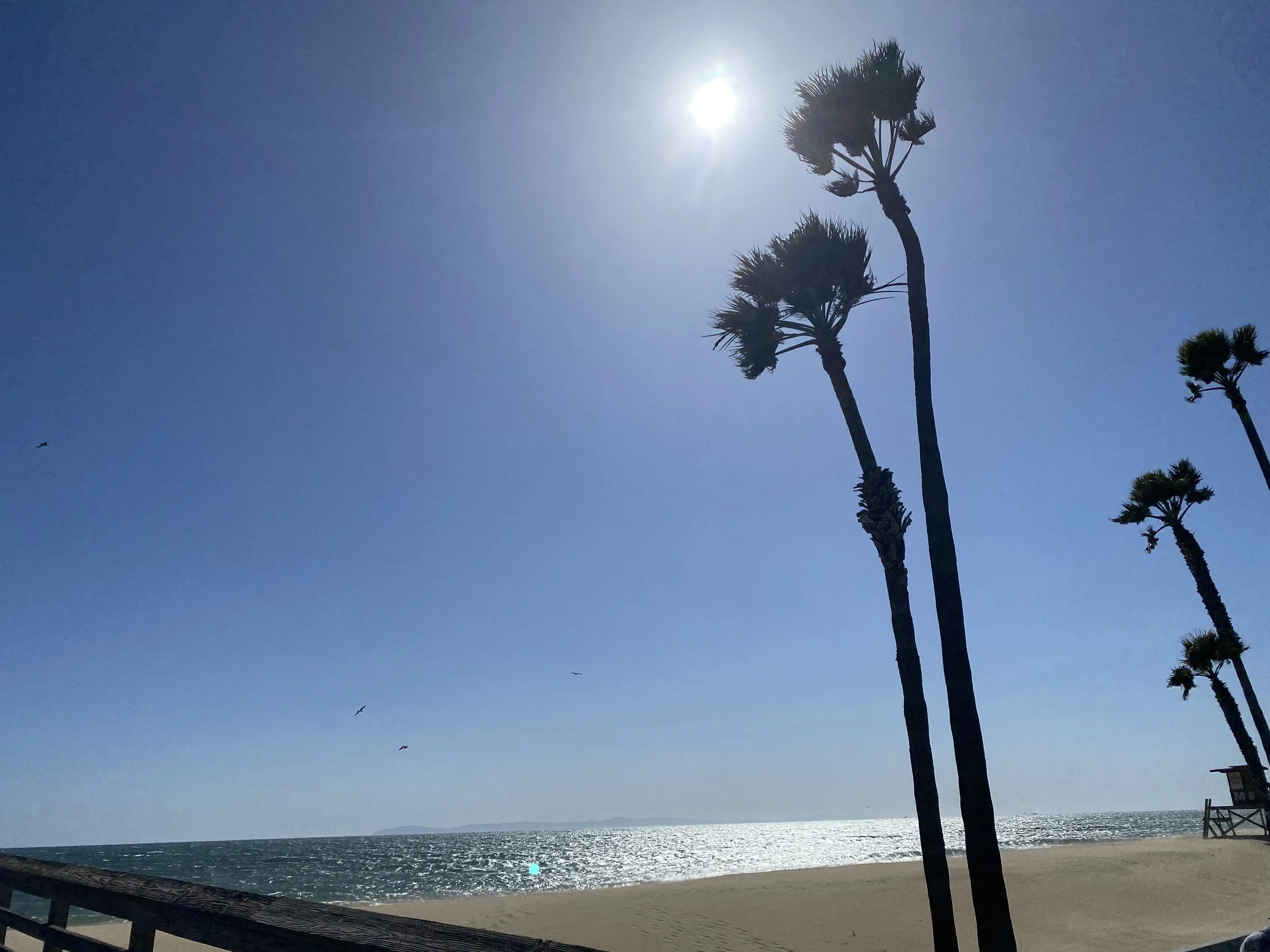  This was a work trip to Newport Beach with NPECA.  My sister lives close so I had the chance to visit her family 