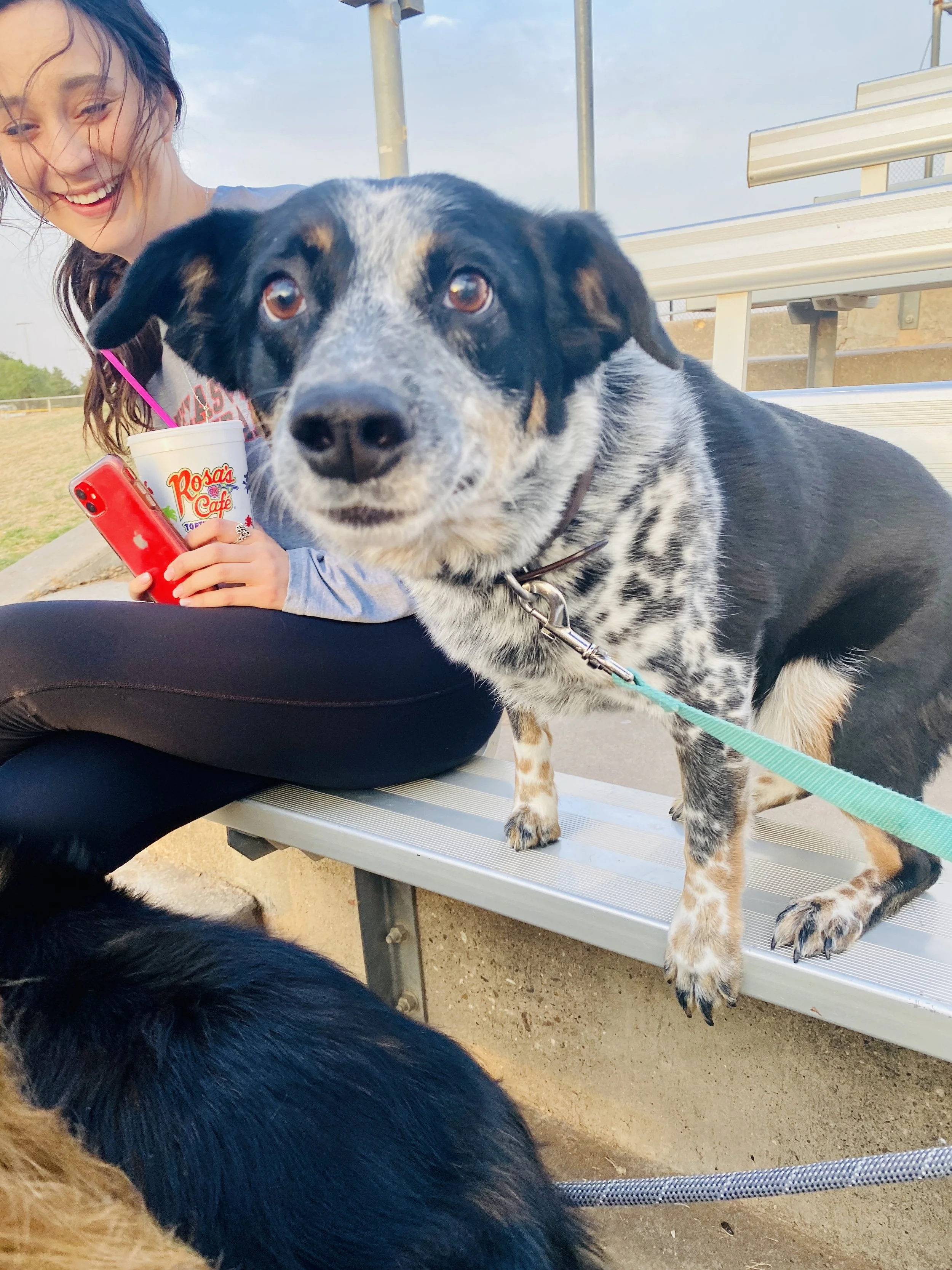  Spring was great! Kalyn played softball in Lubbock in a league and I made it to a game now and then. We were settling into a routine. Getting comfortable. But we still could not convince Donnie to join us.  I knew hat was bothering Mom and weighed o