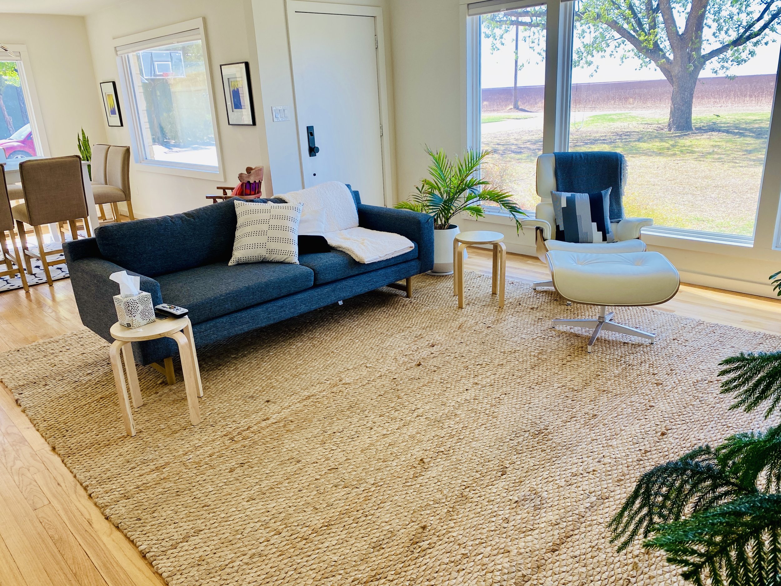  I kept improving mom's home life, because that is basically where she spent the majority of her day. We left her car in California and I offered her mine, but she didn't take it anywhere. So I assessed her home life and bought a rug. The previous on