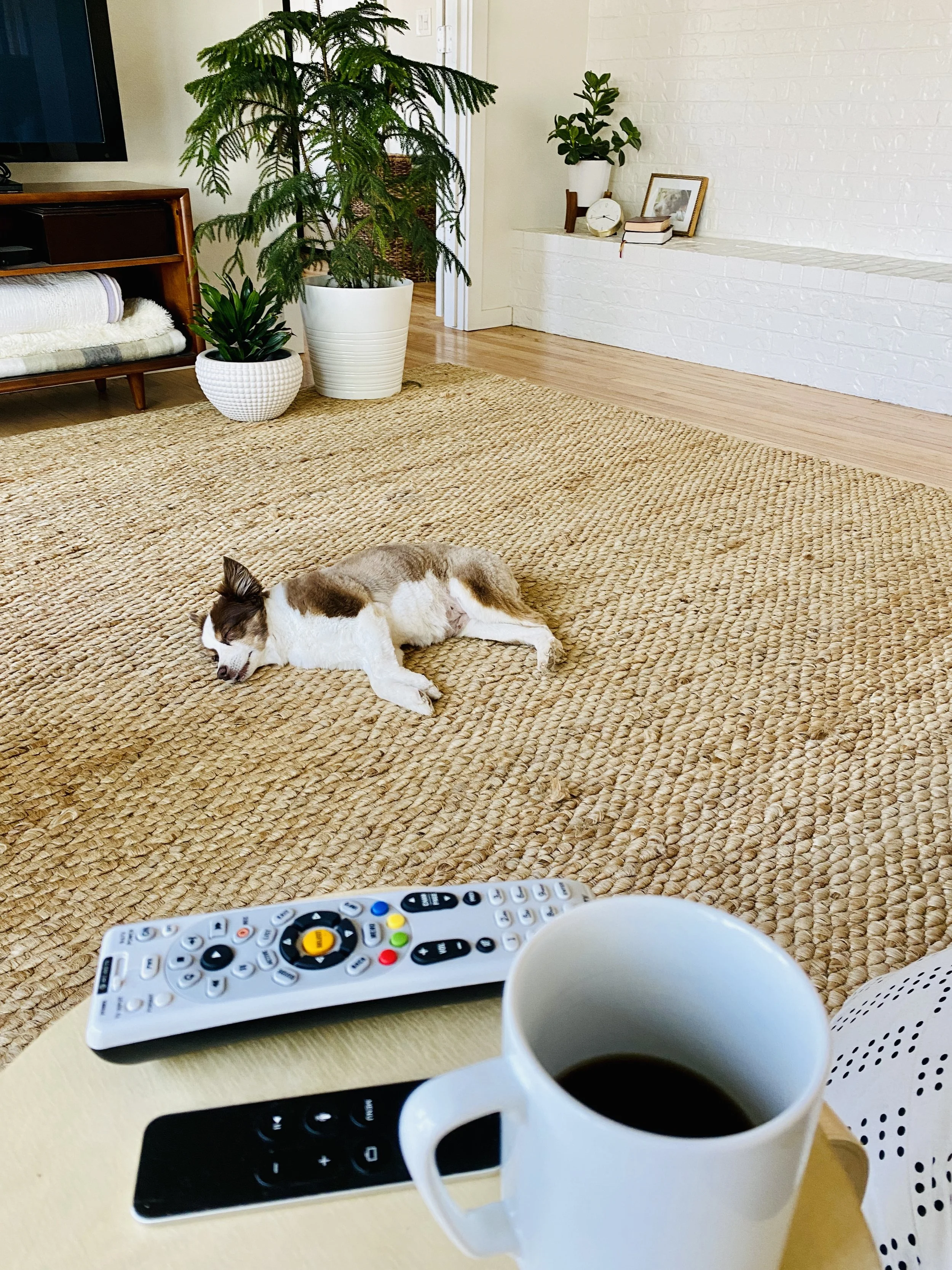  Kanga, my dog totally approved of the rug.   