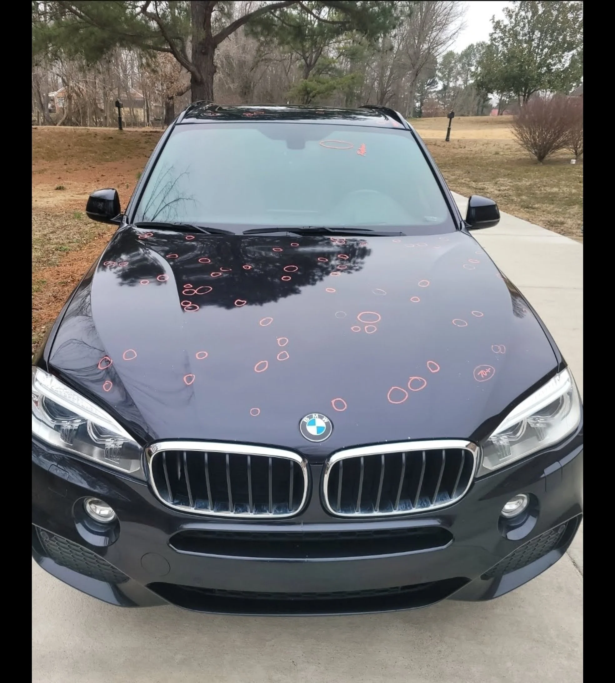 BMW X5 Hail Damages Removed Perfectly