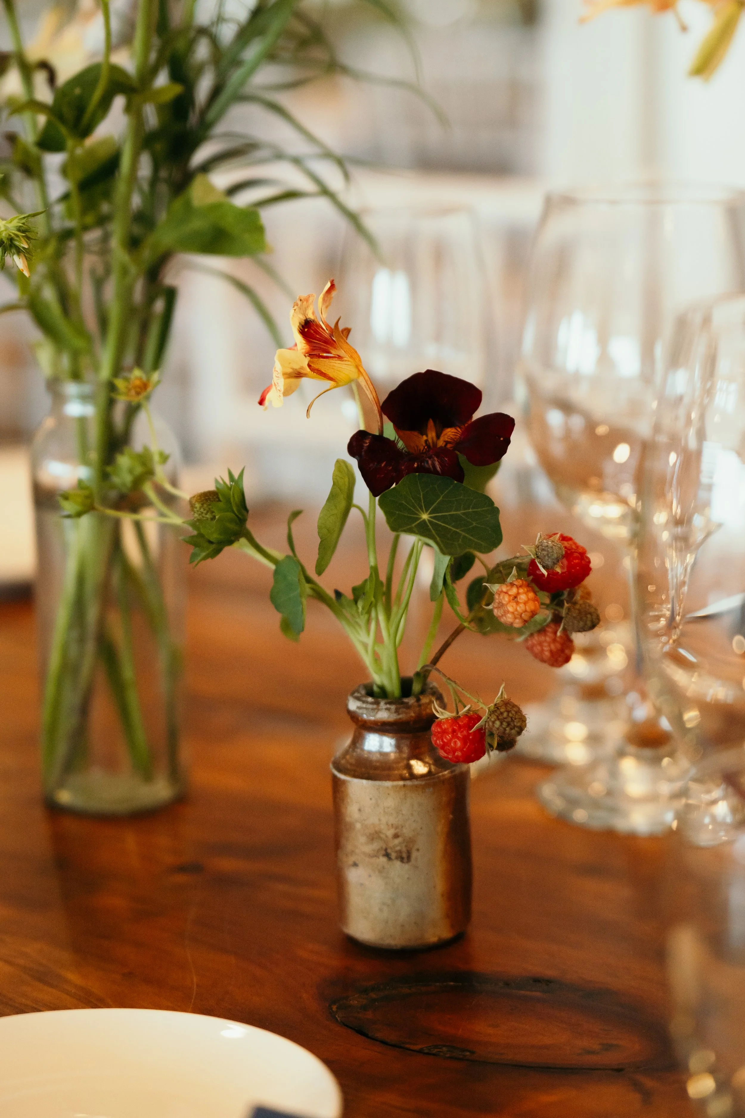 Haley Gove Photography 4.jpg