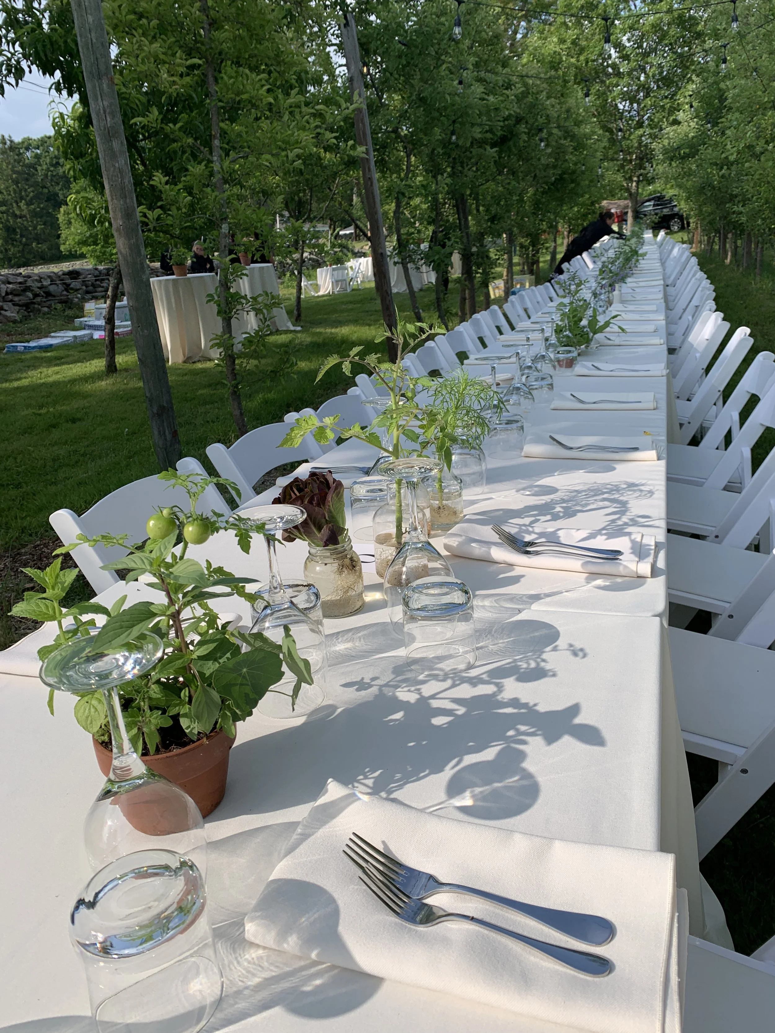 Long outdoor dining table with white chairs, glassware, utensils, and potted plants, set up for a meal in a garden with green trees.