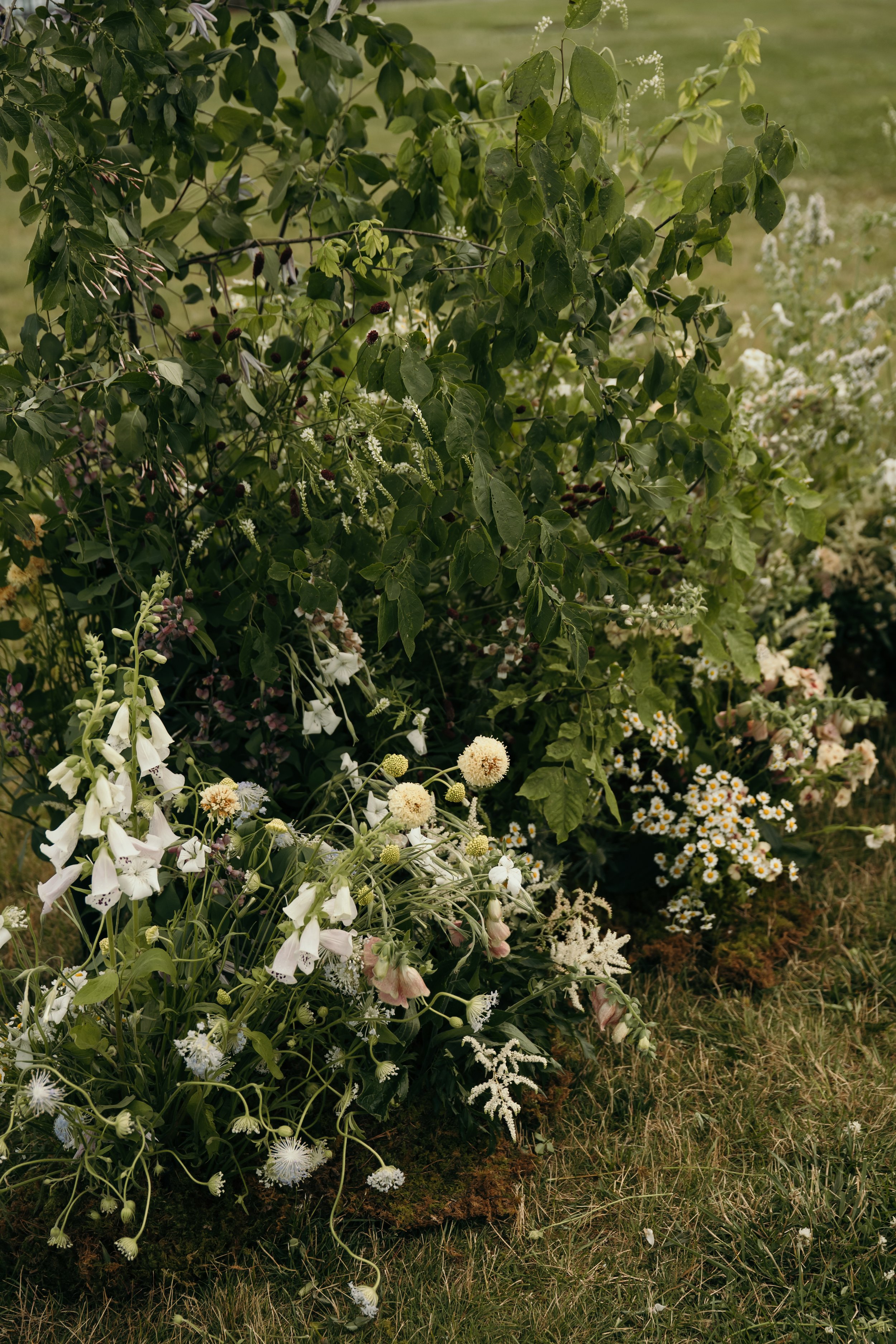 Haley Gove Photography 1.jpg