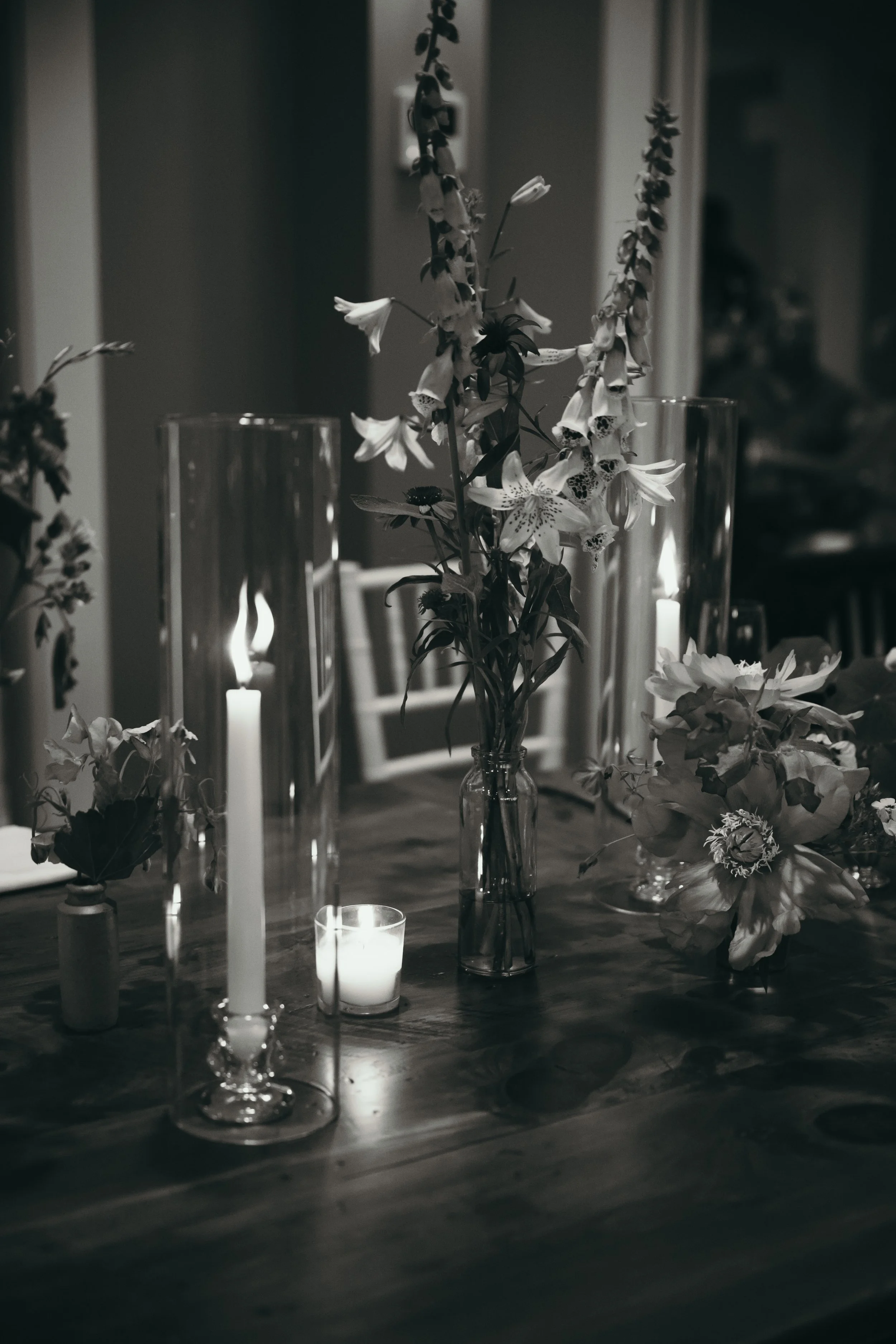 Haley Gove Photography
