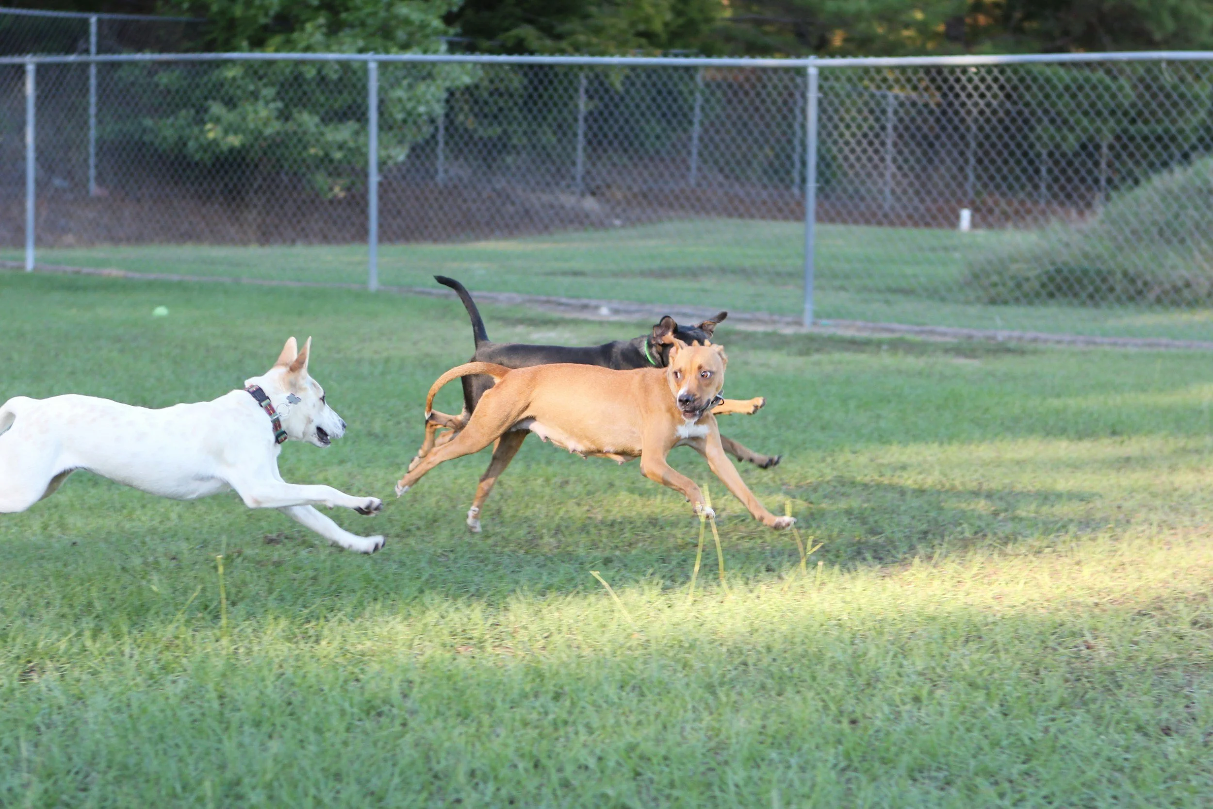 Riverdale Community Park
