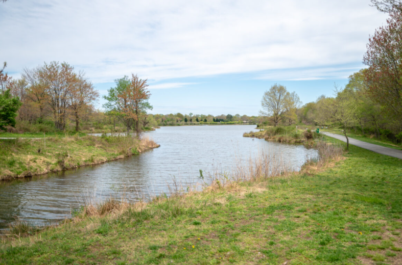 Lake Artemesia Park
