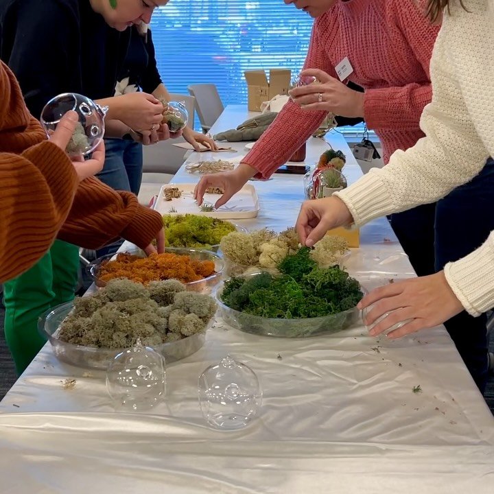 Our final event of the year was our Holiday Terrarium Workshop with @potahtohome building holiday moss and air plant terrariums! 🌱

Daphne, a wonderful maker we found through @shopmadeinmd_ , was our guide and gave our members some tips and tricks o
