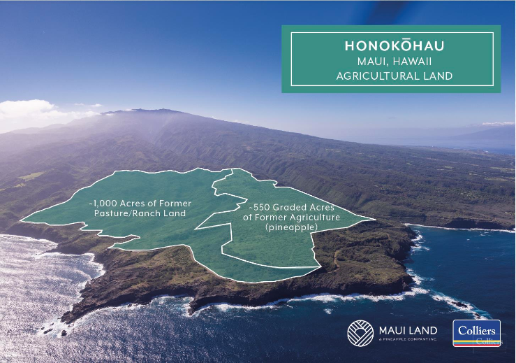 Honokōhau Agricultural Land for Lease