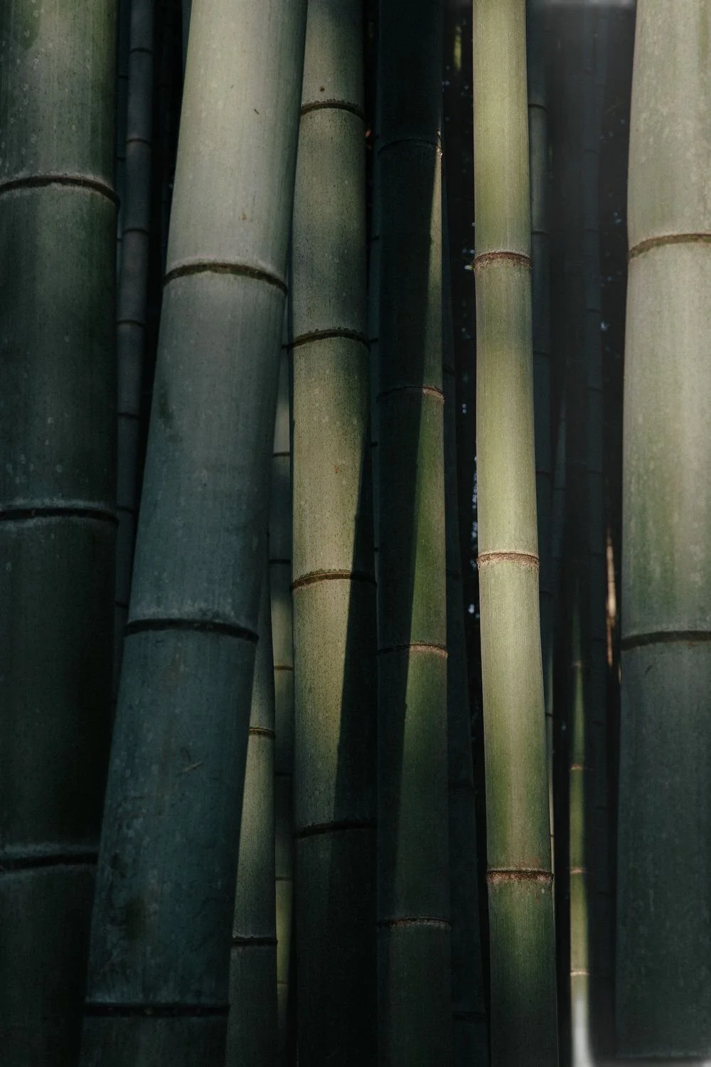 Non è solo primavera