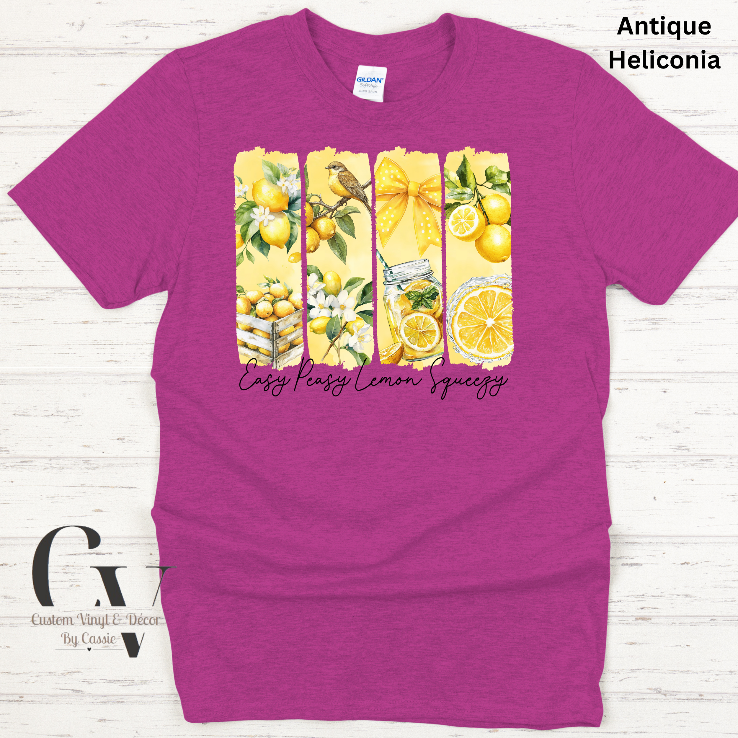 Gildan Softstyle  - 64.png