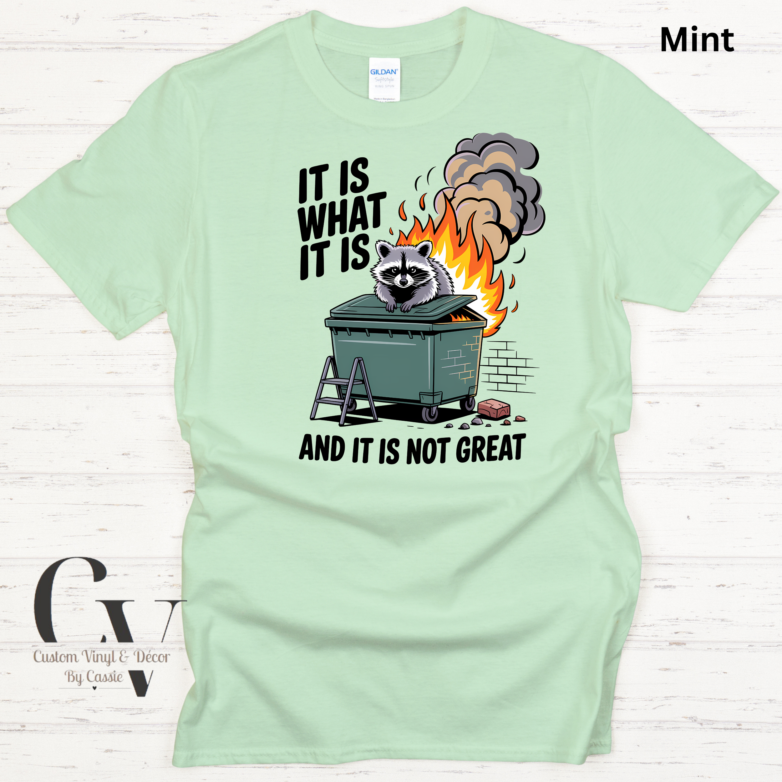 Gildan Softstyle  - 12.png