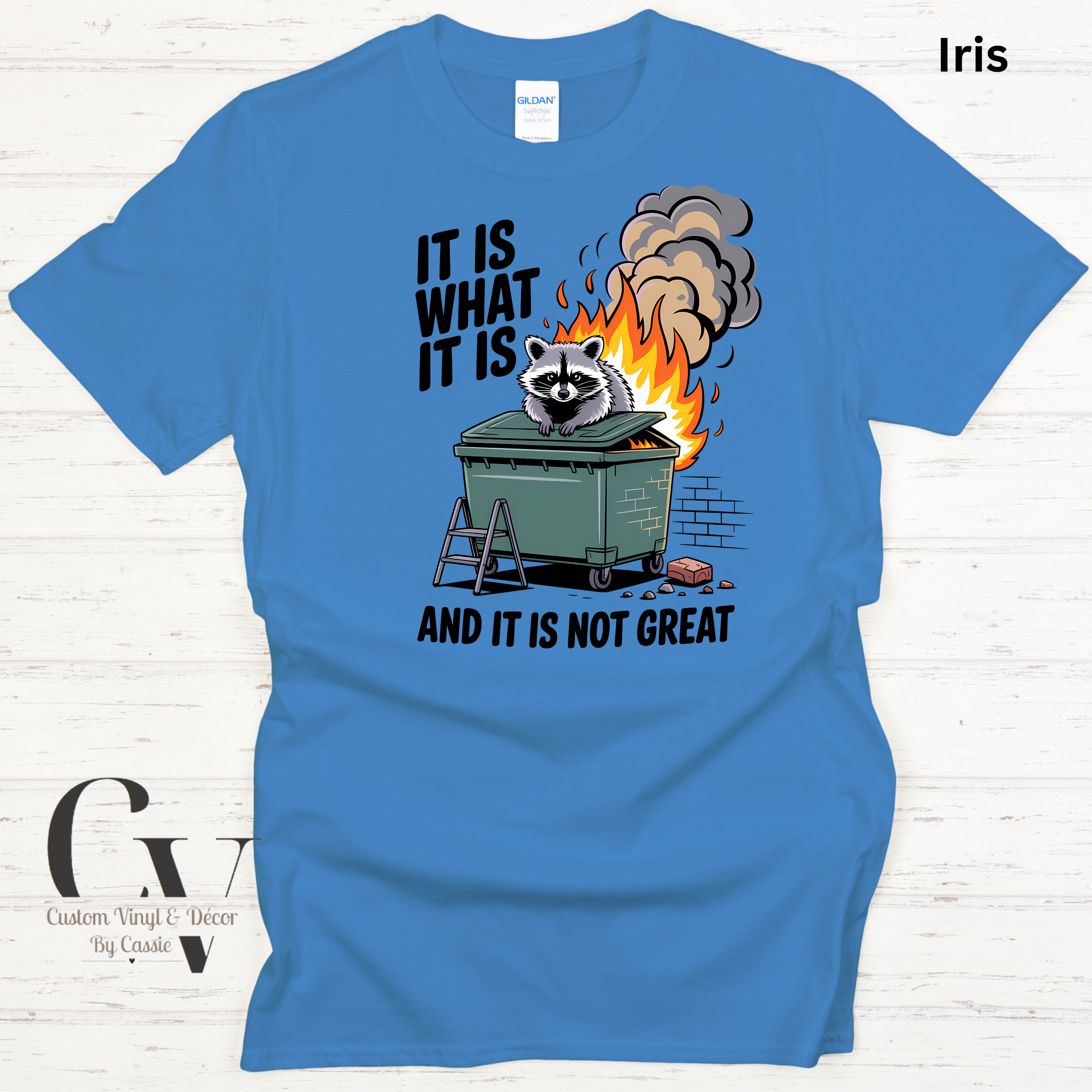 Gildan Softstyle  - 21.png