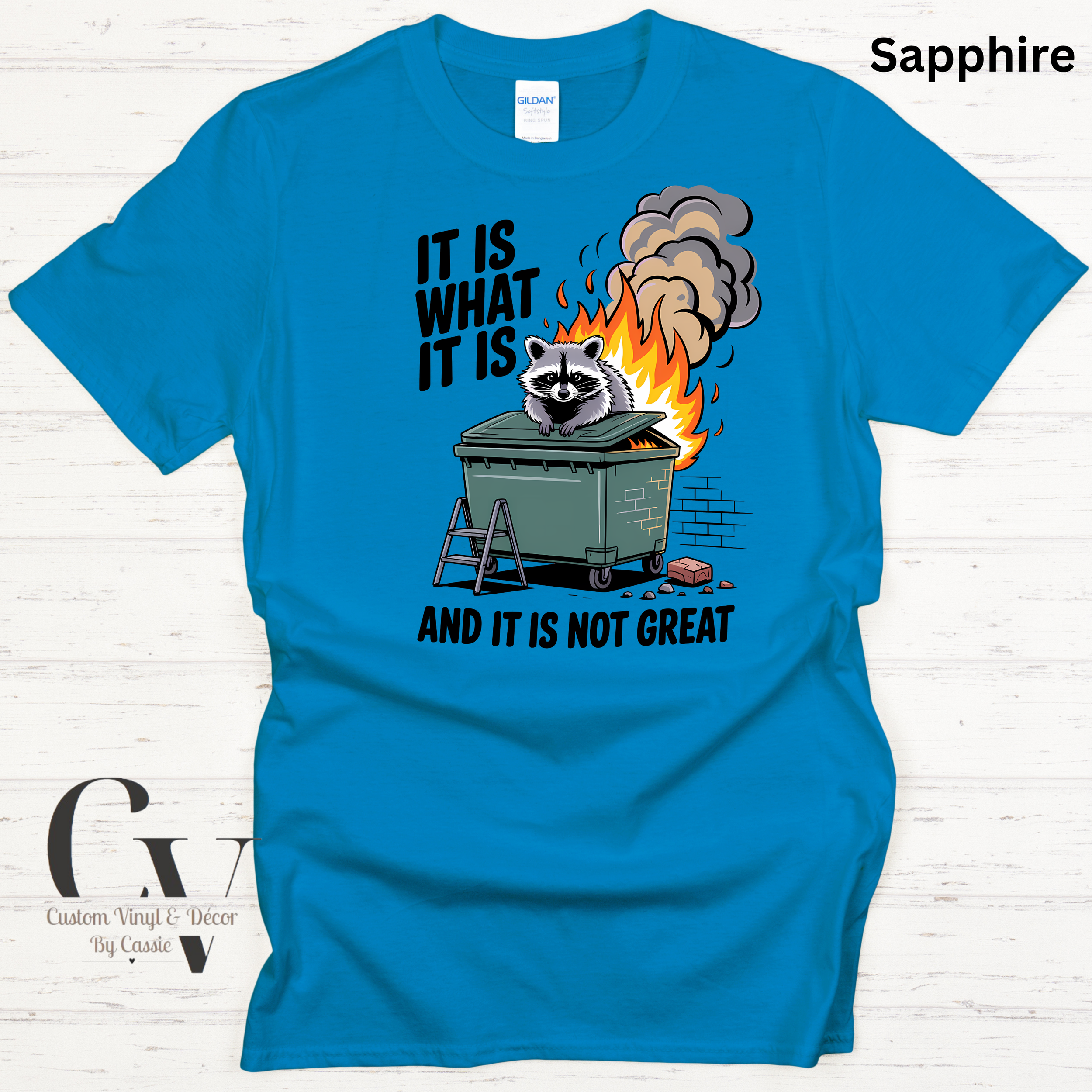 Gildan Softstyle  - 4.png