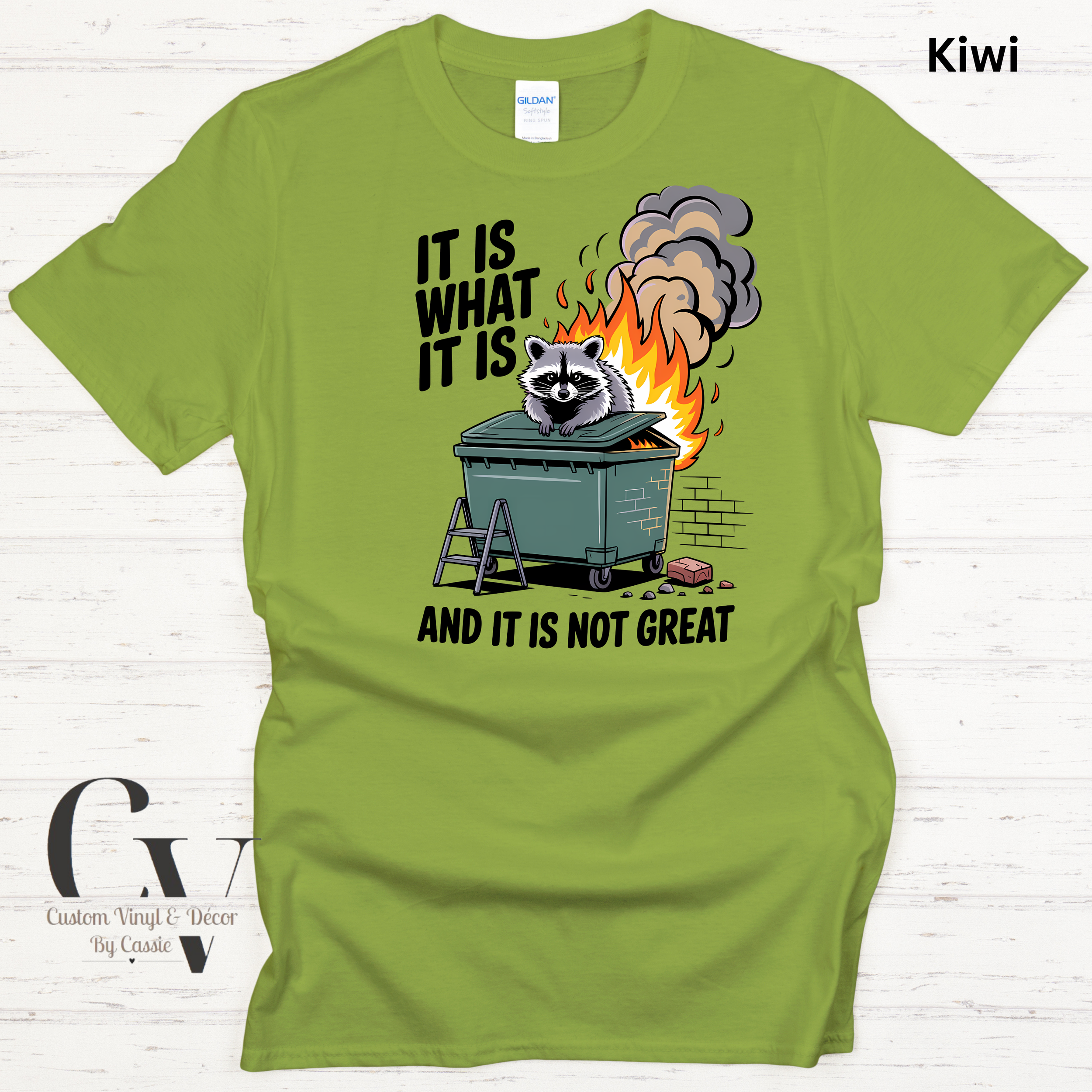 Gildan Softstyle  - 18.png