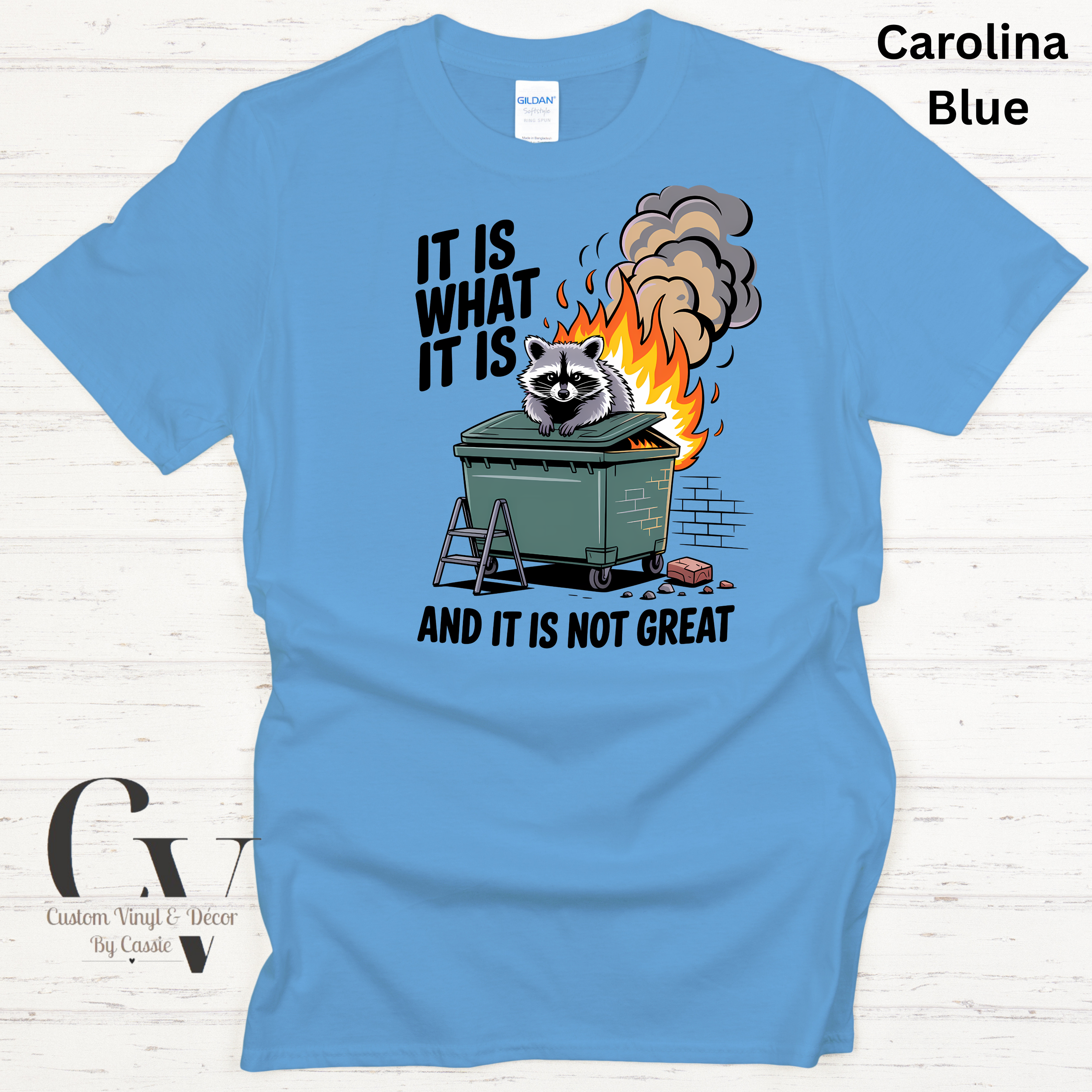 Gildan Softstyle  - 55.png