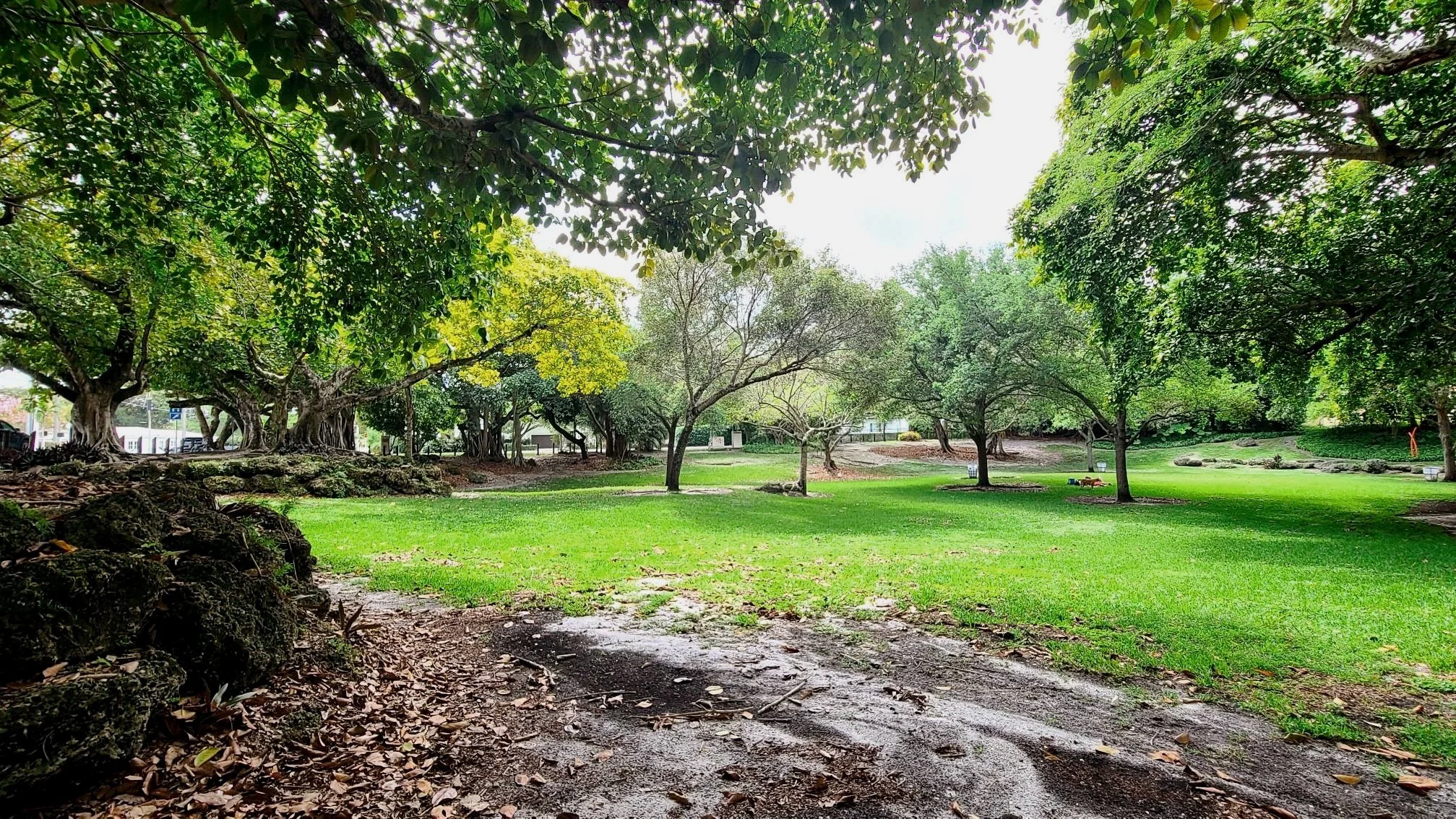 Preserving the Character of Schenley Park