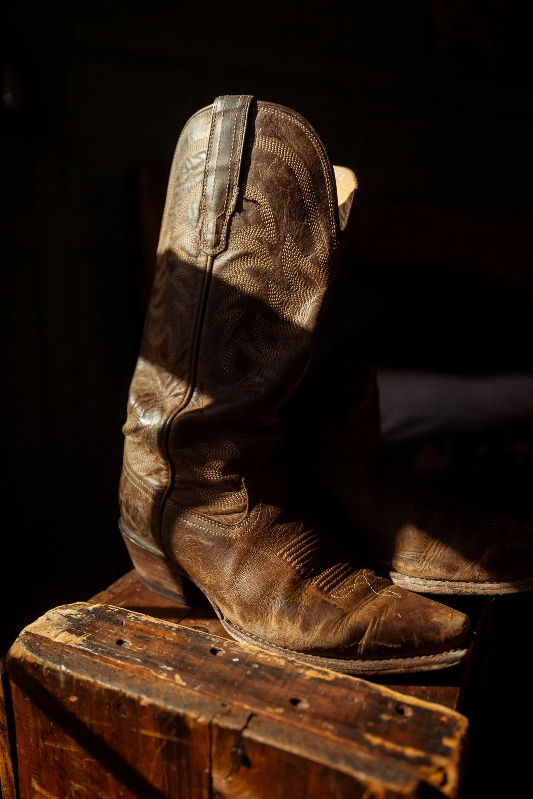 Tecovas Cowboy boots