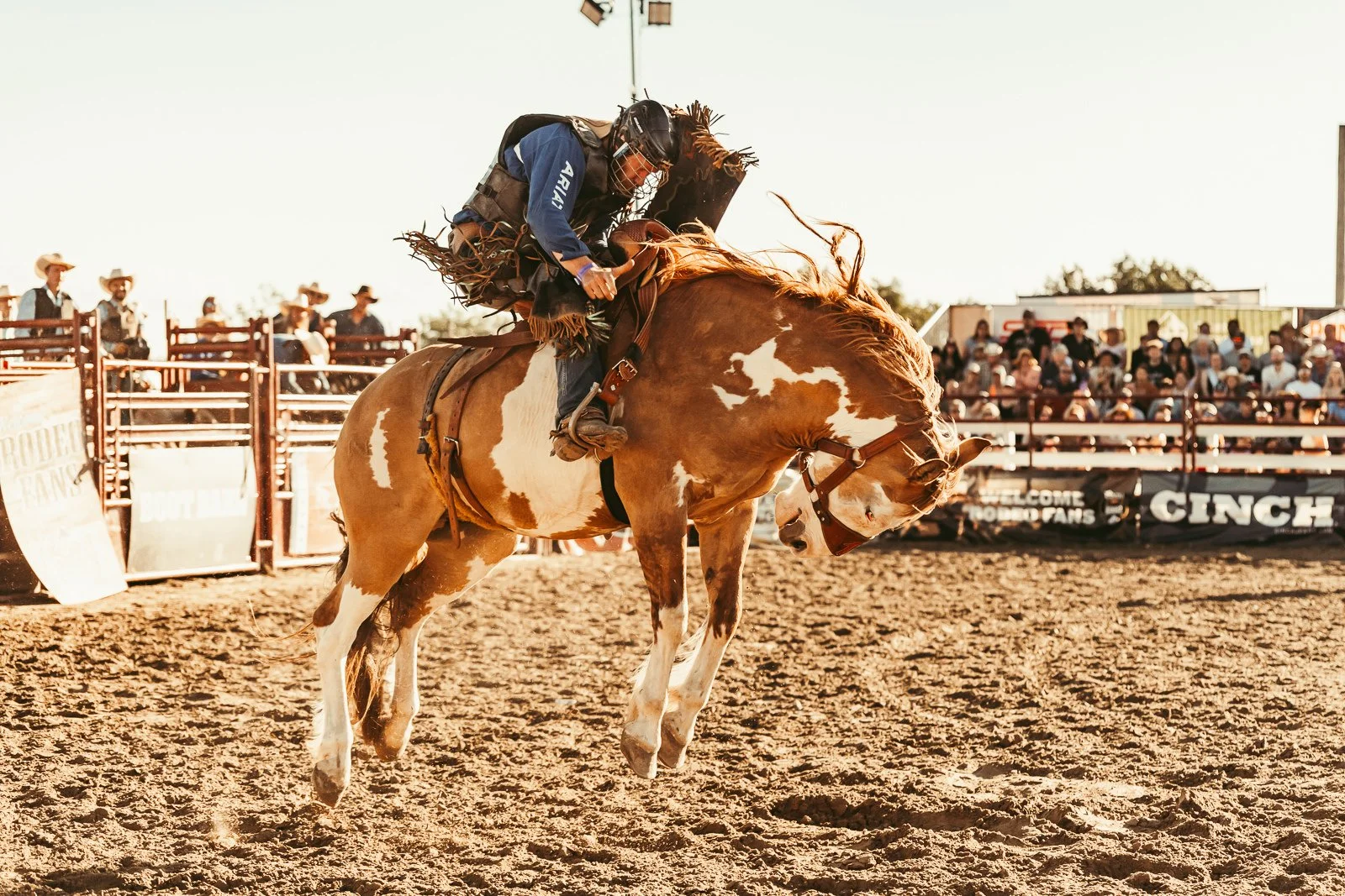 Bronc rider at Goshen Stampede Rodeo
