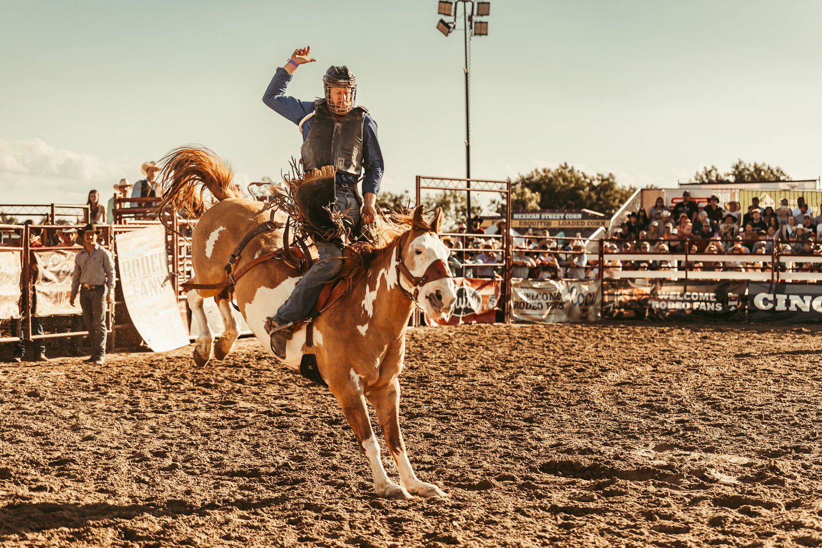 Bronc at Goshen Stampede Rodeo