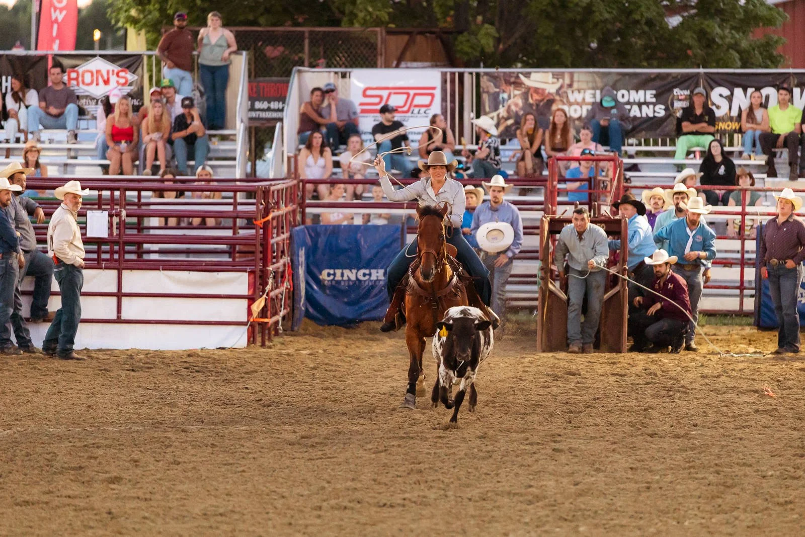 roper at goshen stampede rodeo