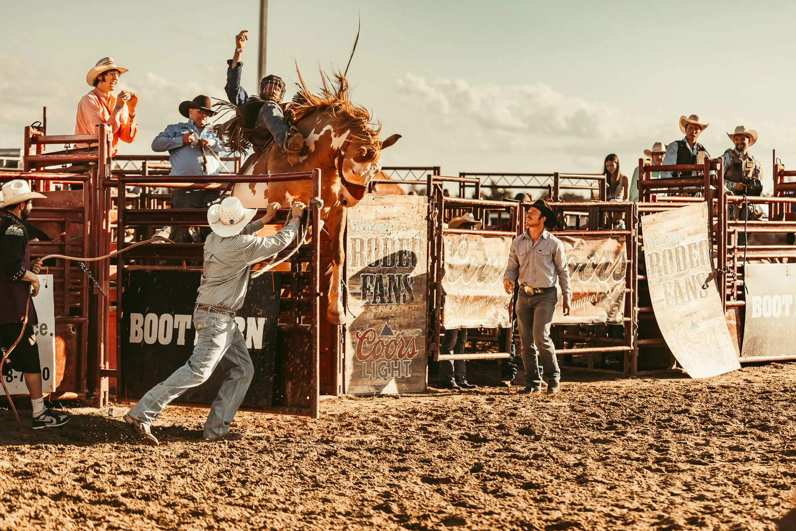 Bronc at Goshen Stampede Rodeo
