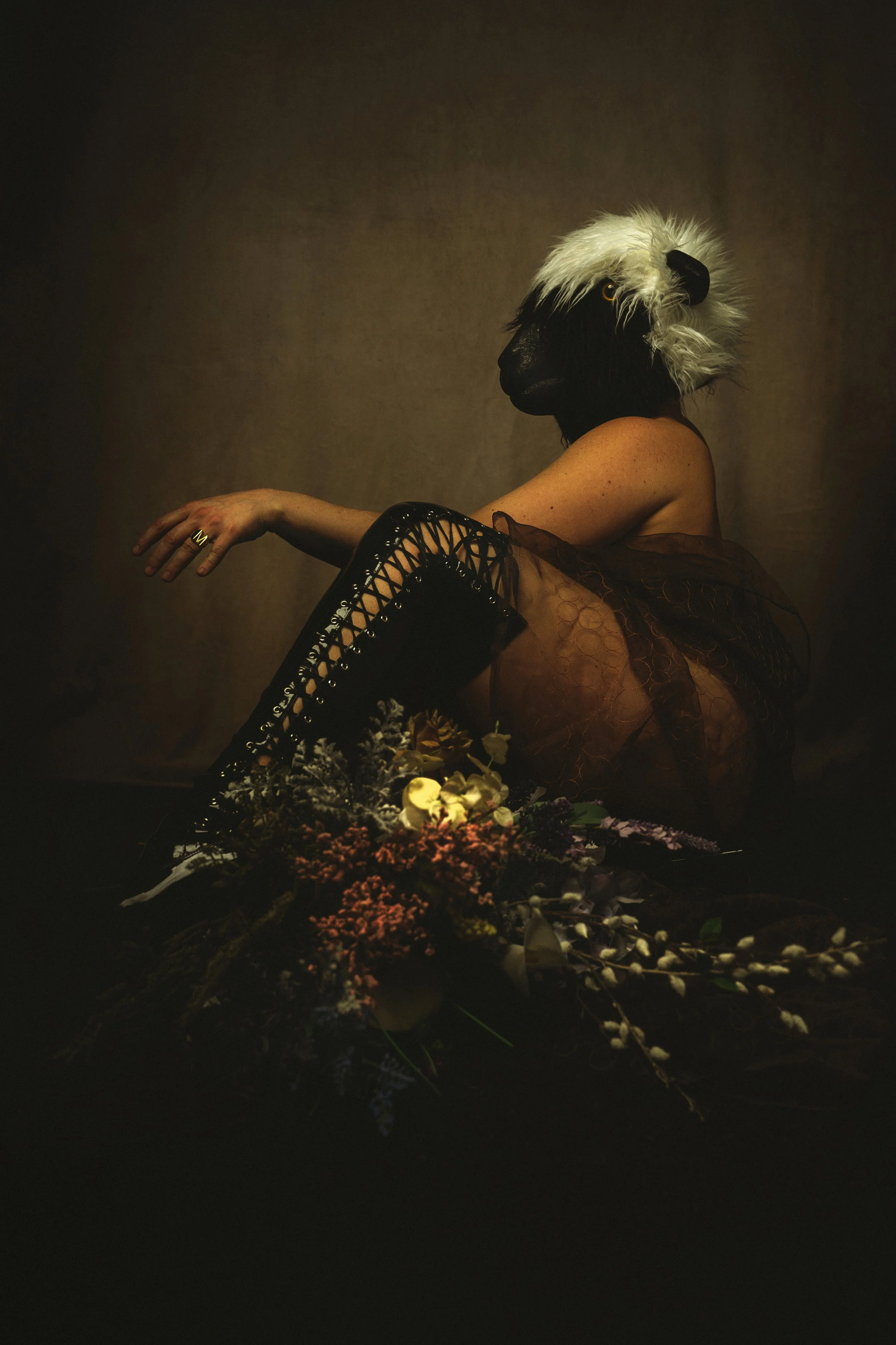 Black Sheep XXVI.jpg