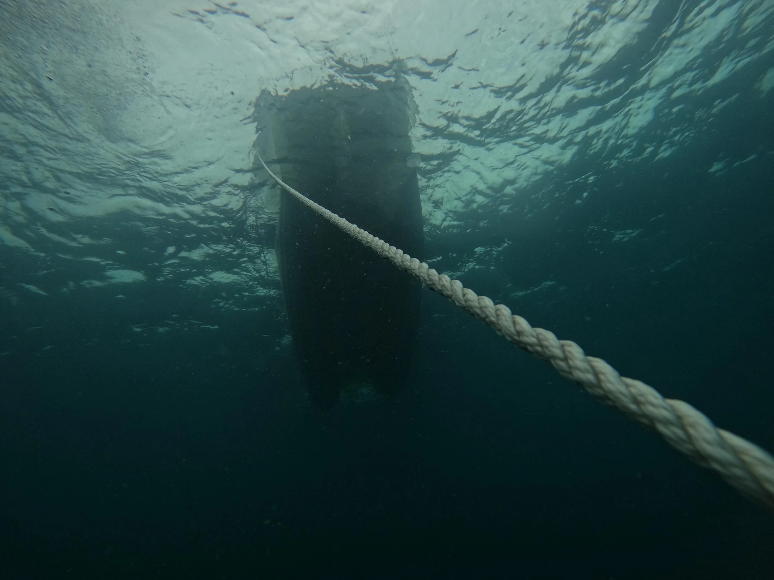 Tell me why this is both the best and the worst view&hellip; 

#boatdiving #scuba #summerdreams
