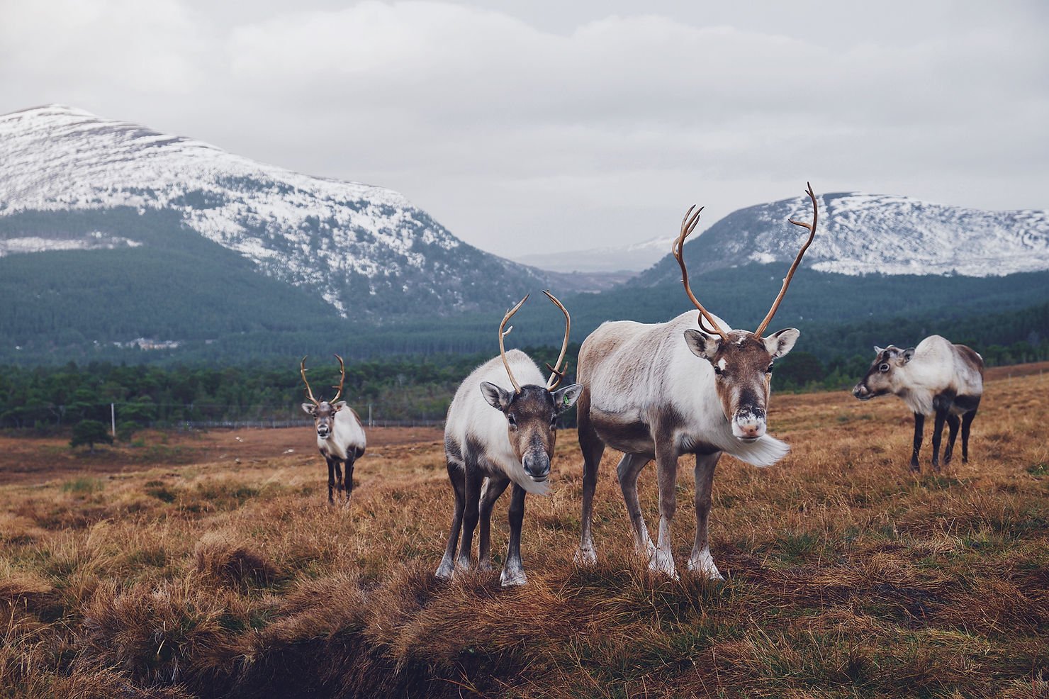 From the Highlands to the South Coast: 15 national parks to explore in the UK